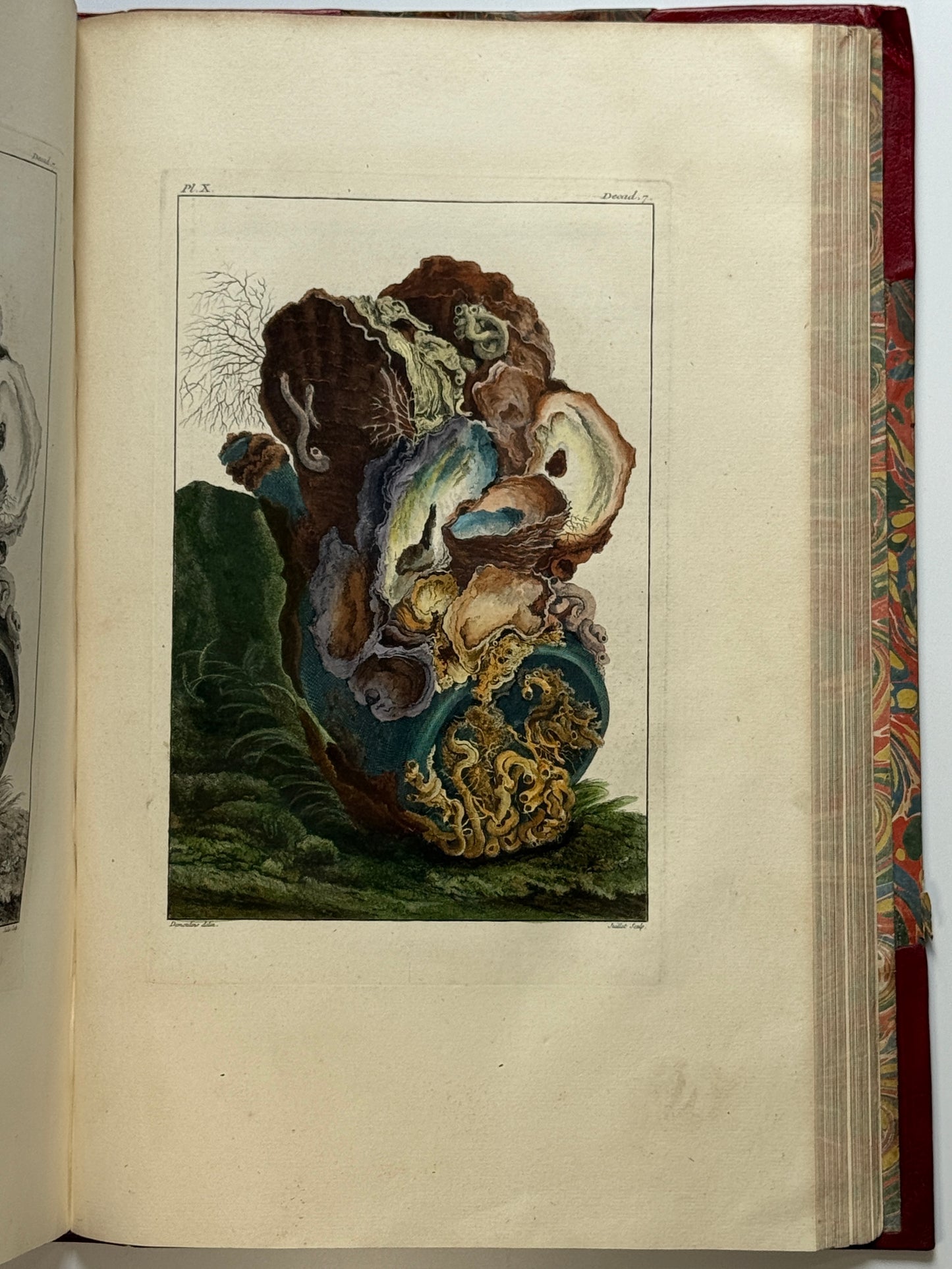 Pierre Buchoz's Planches Enluminees et non-Enluminees 1778