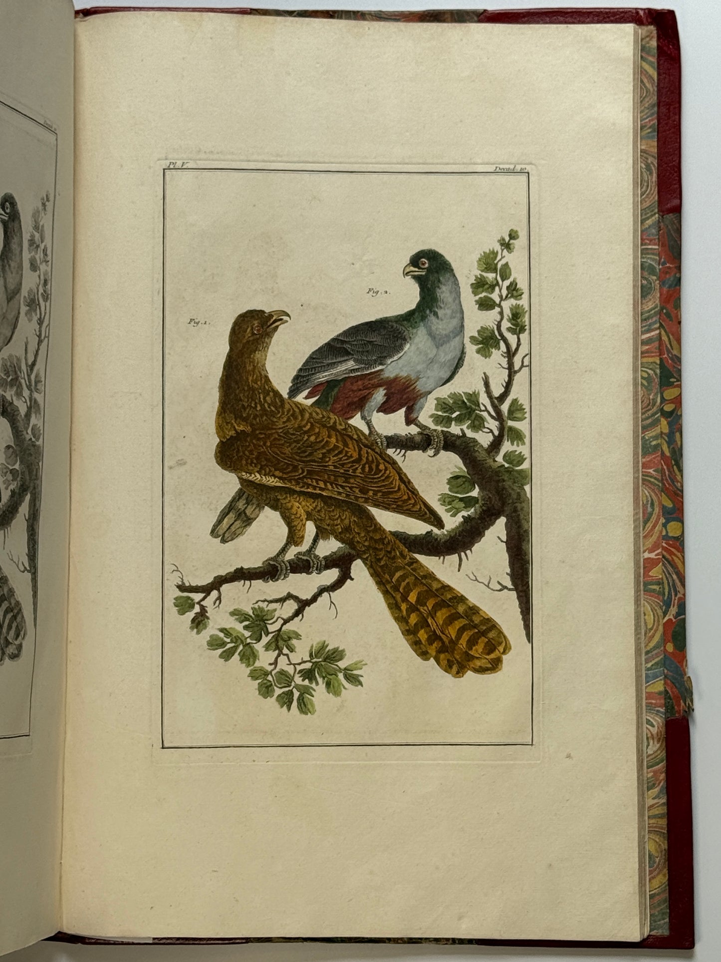 Pierre Buchoz's Planches Enluminees et non-Enluminees 1778