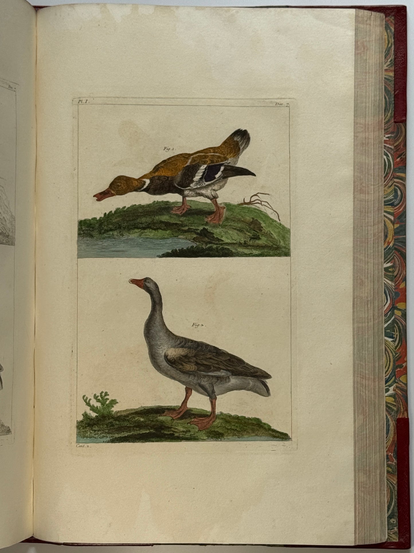 Pierre Buchoz's Planches Enluminees et non-Enluminees 1778