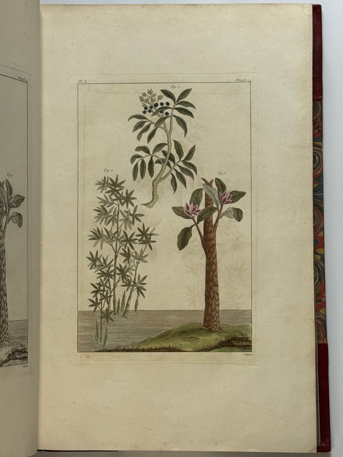 Pierre Buchoz's Planches Enluminees et non-Enluminees 1778