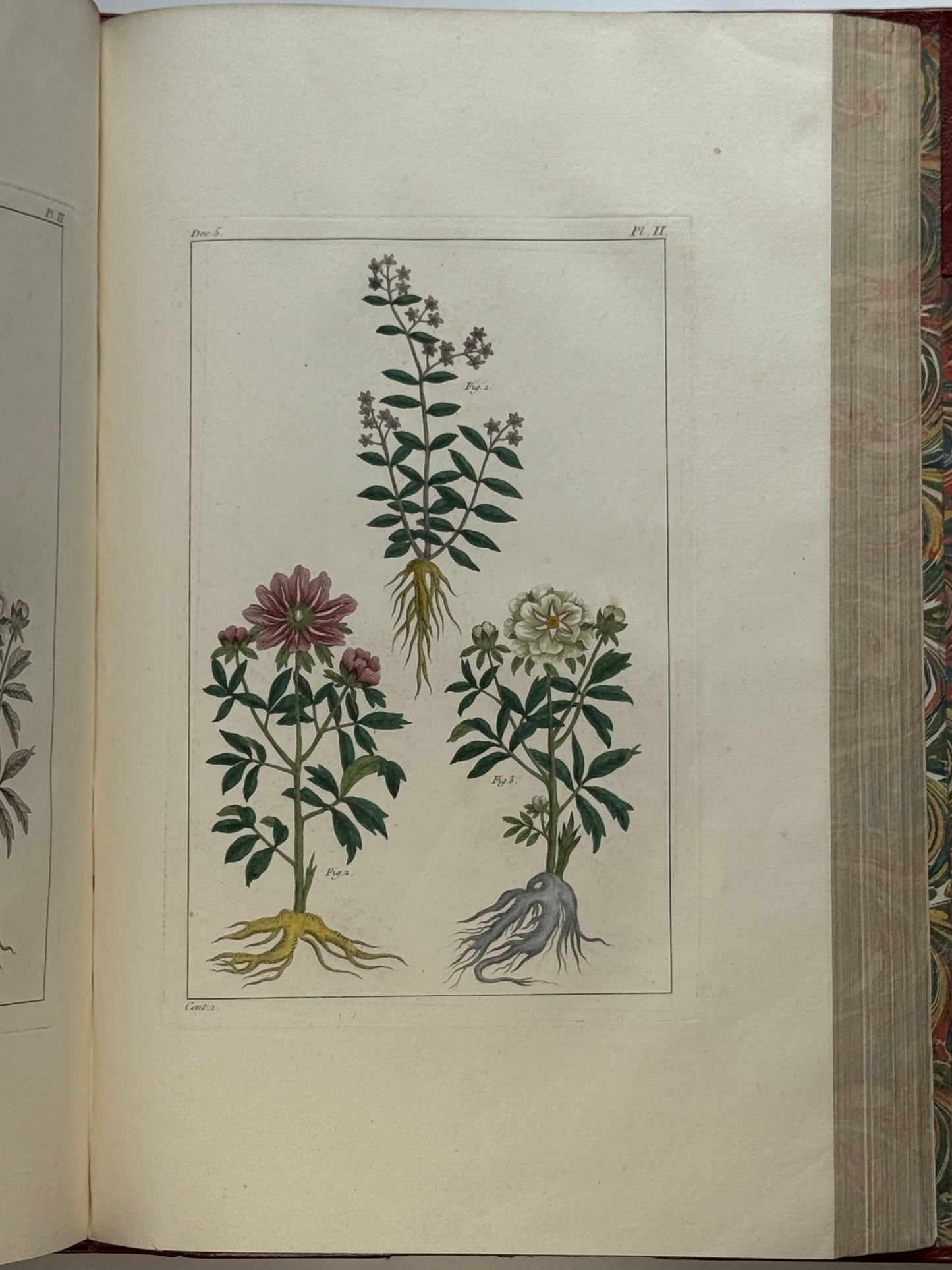 Pierre Buchoz's Planches Enluminees et non-Enluminees 1778