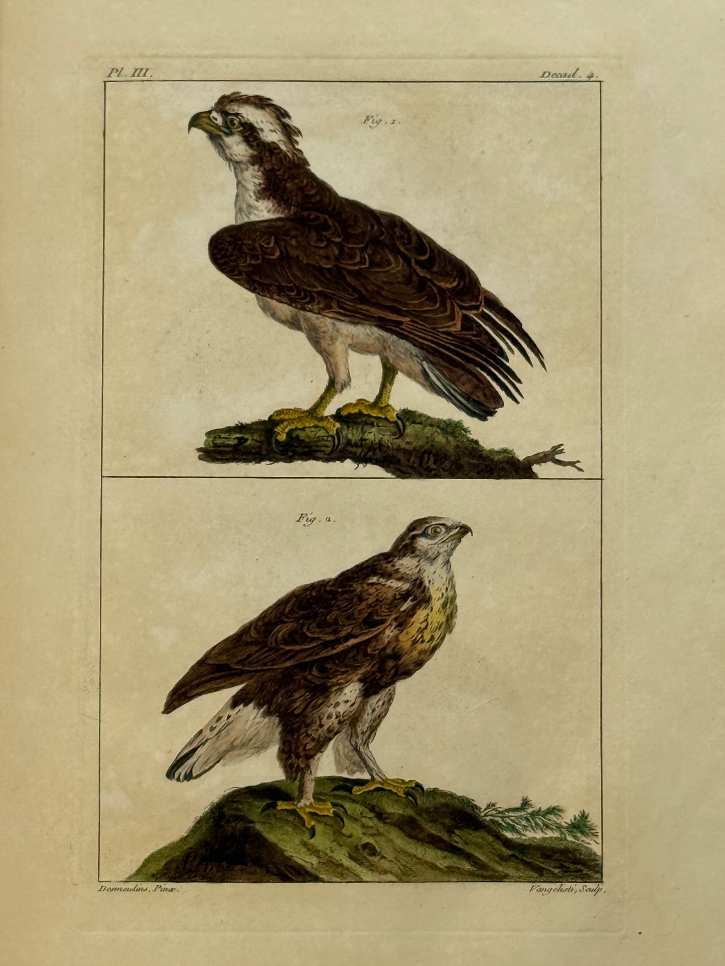Pierre Buchoz's Planches Enluminees et non-Enluminees 1778
