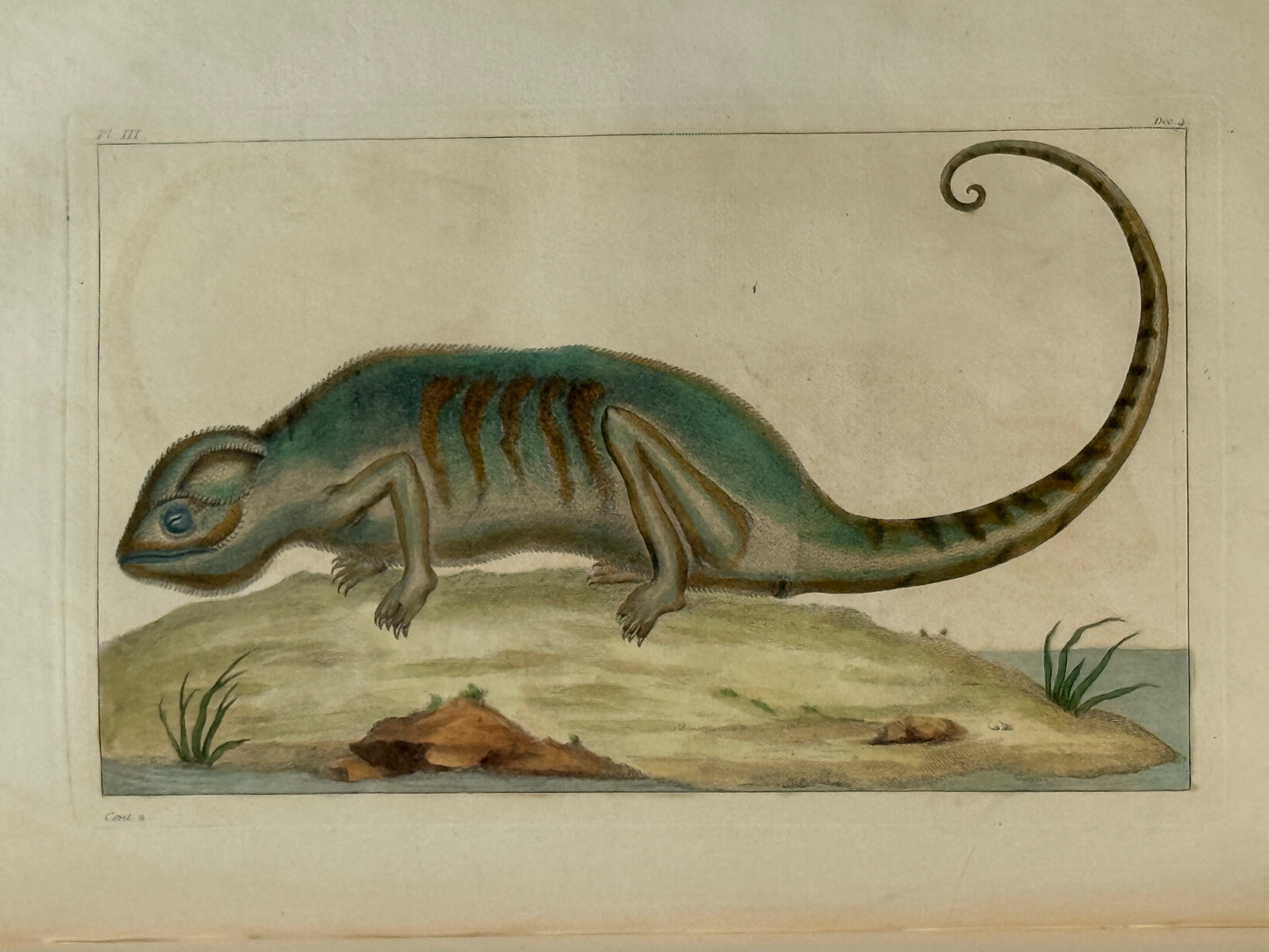 Pierre Buchoz's Planches Enluminees et non-Enluminees 1778