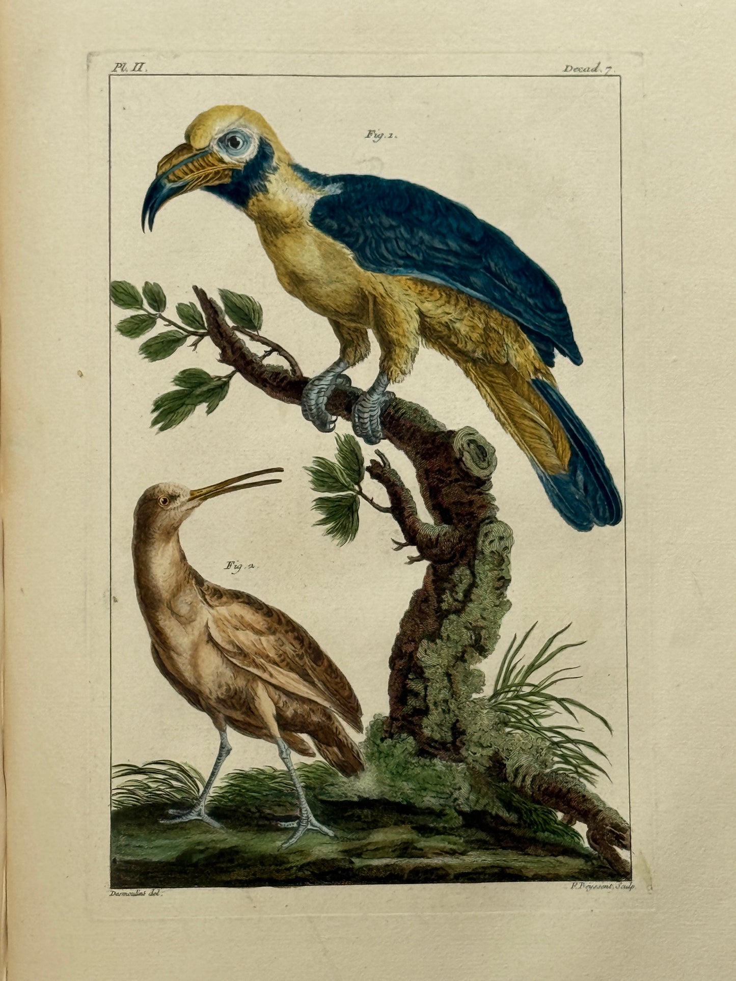 Pierre Buchoz's Planches Enluminees et non-Enluminees 1778