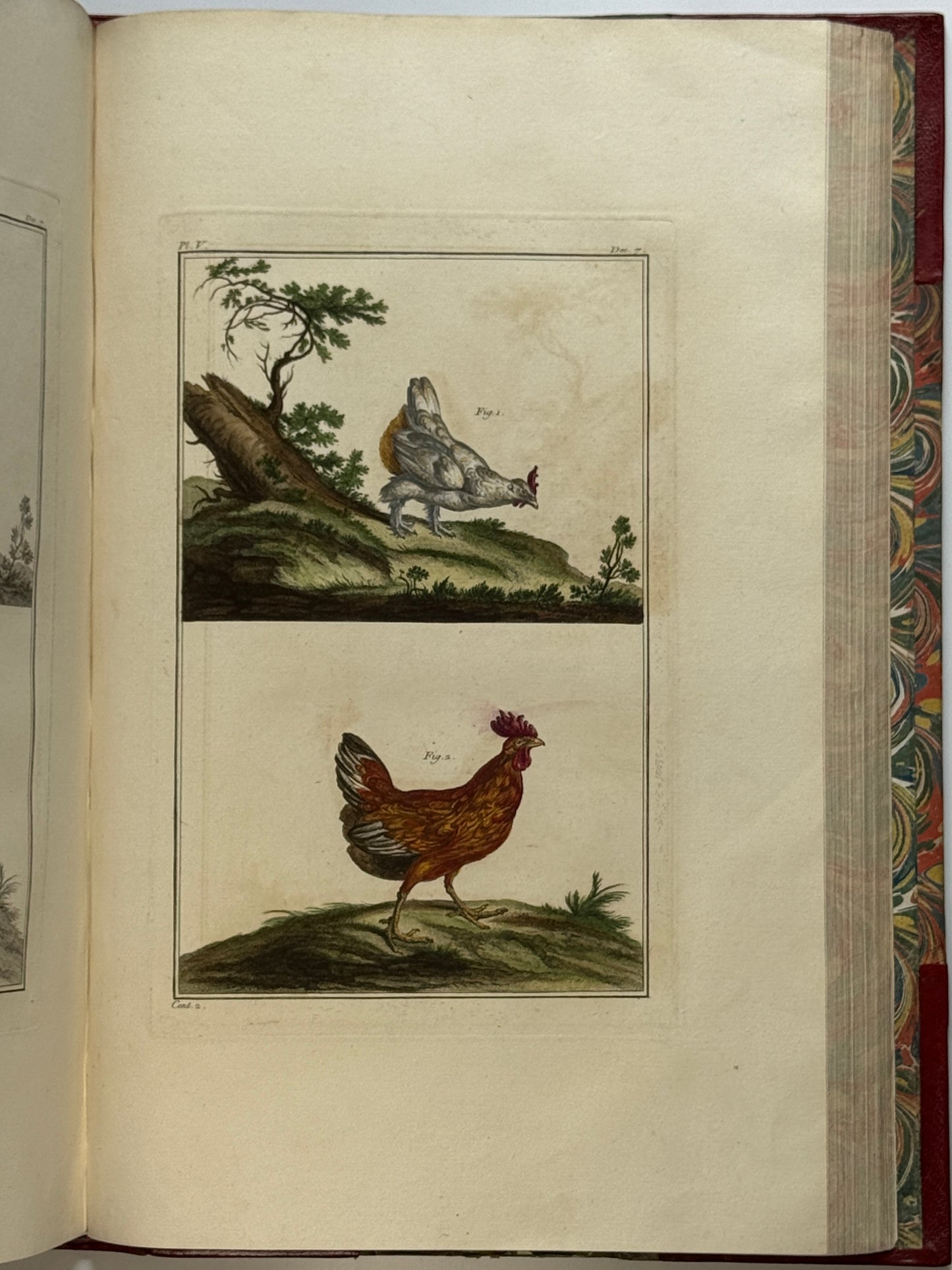 Pierre Buchoz's Planches Enluminees et non-Enluminees 1778