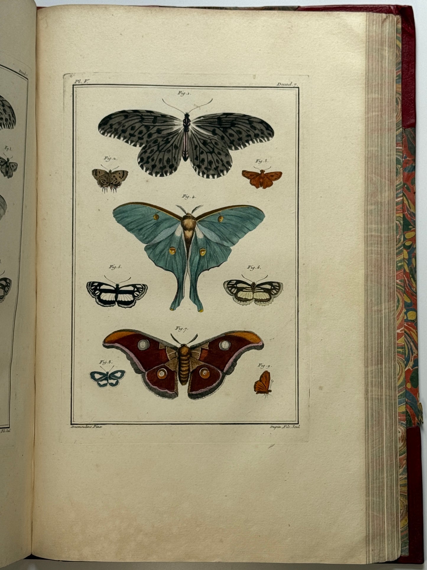 Pierre Buchoz's Planches Enluminees et non-Enluminees 1778