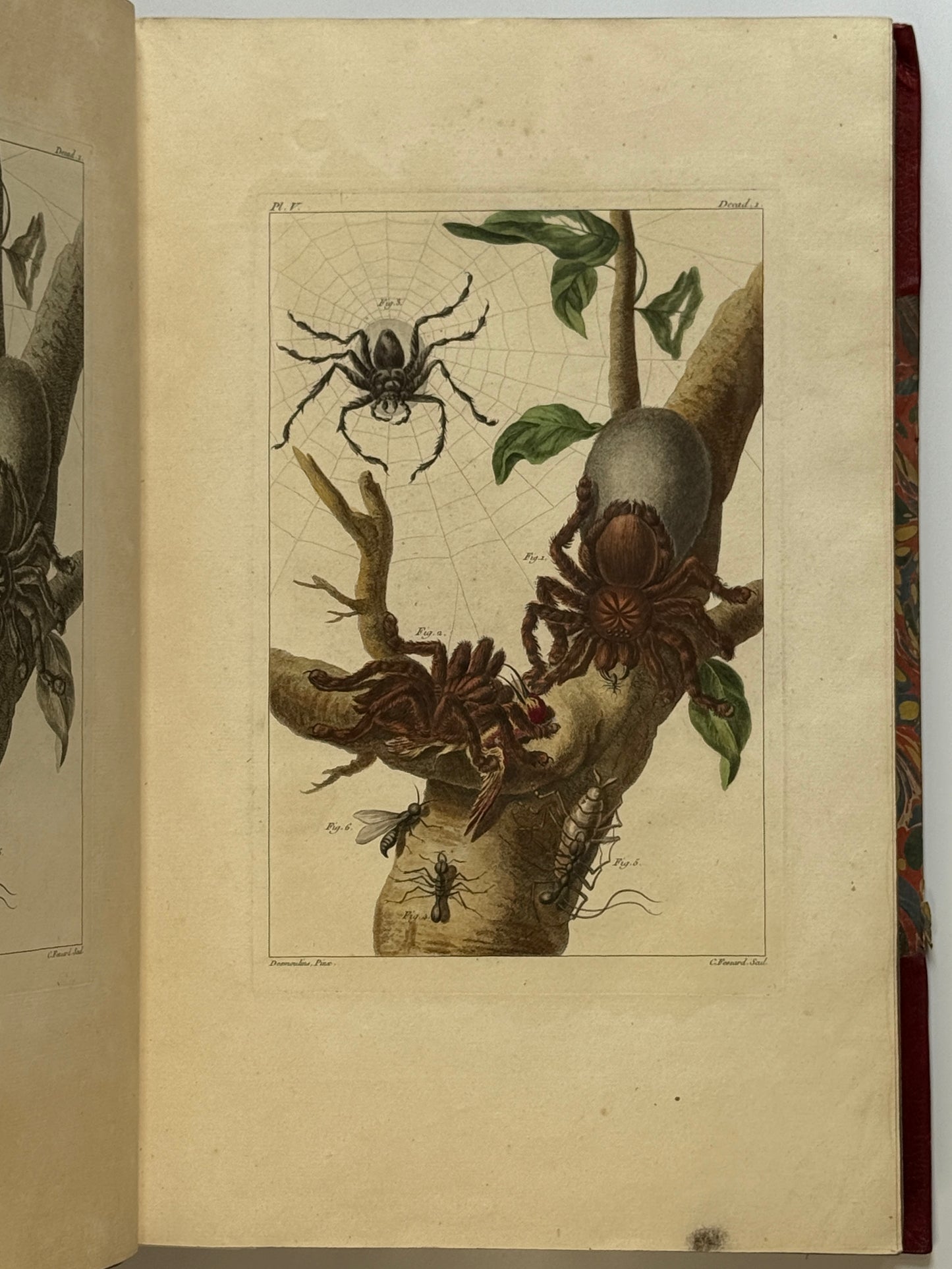 Pierre Buchoz's Planches Enluminees et non-Enluminees 1778