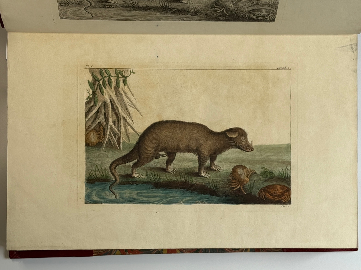 Pierre Buchoz's Planches Enluminees et non-Enluminees 1778