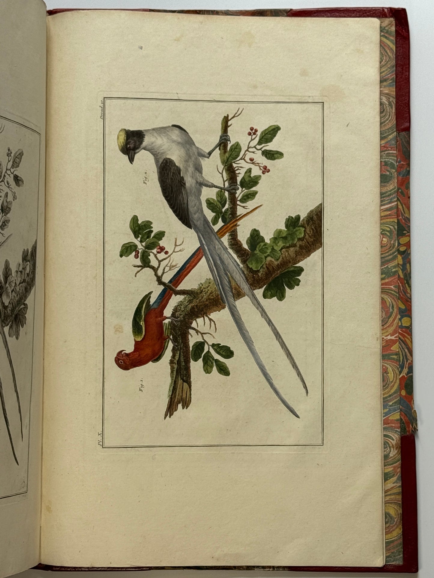 Pierre Buchoz's Planches Enluminees et non-Enluminees 1778