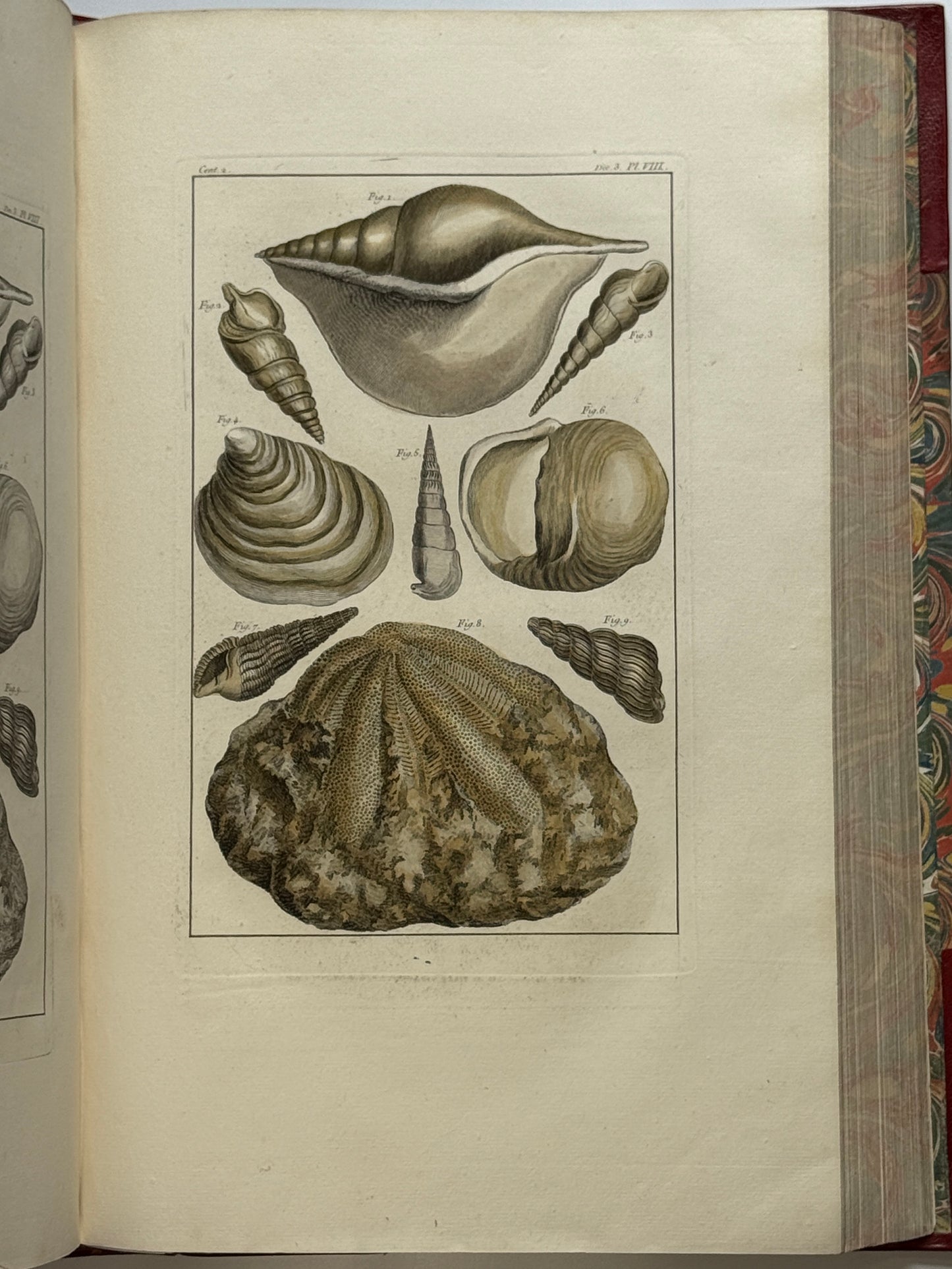 Pierre Buchoz's Planches Enluminees et non-Enluminees 1778