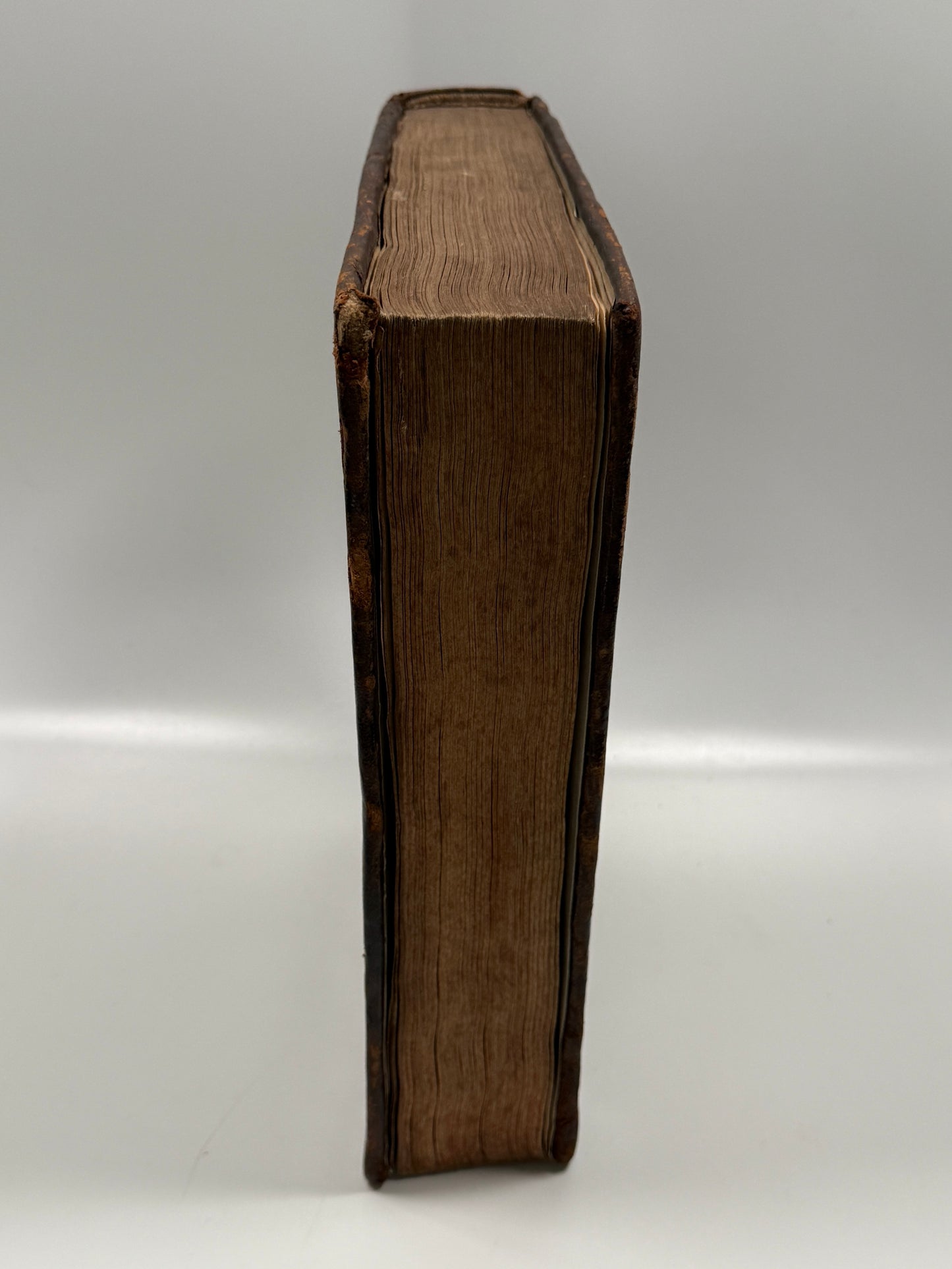 Bernard of Botone's Casus Longi 1484; Finely Rubricated Incunable