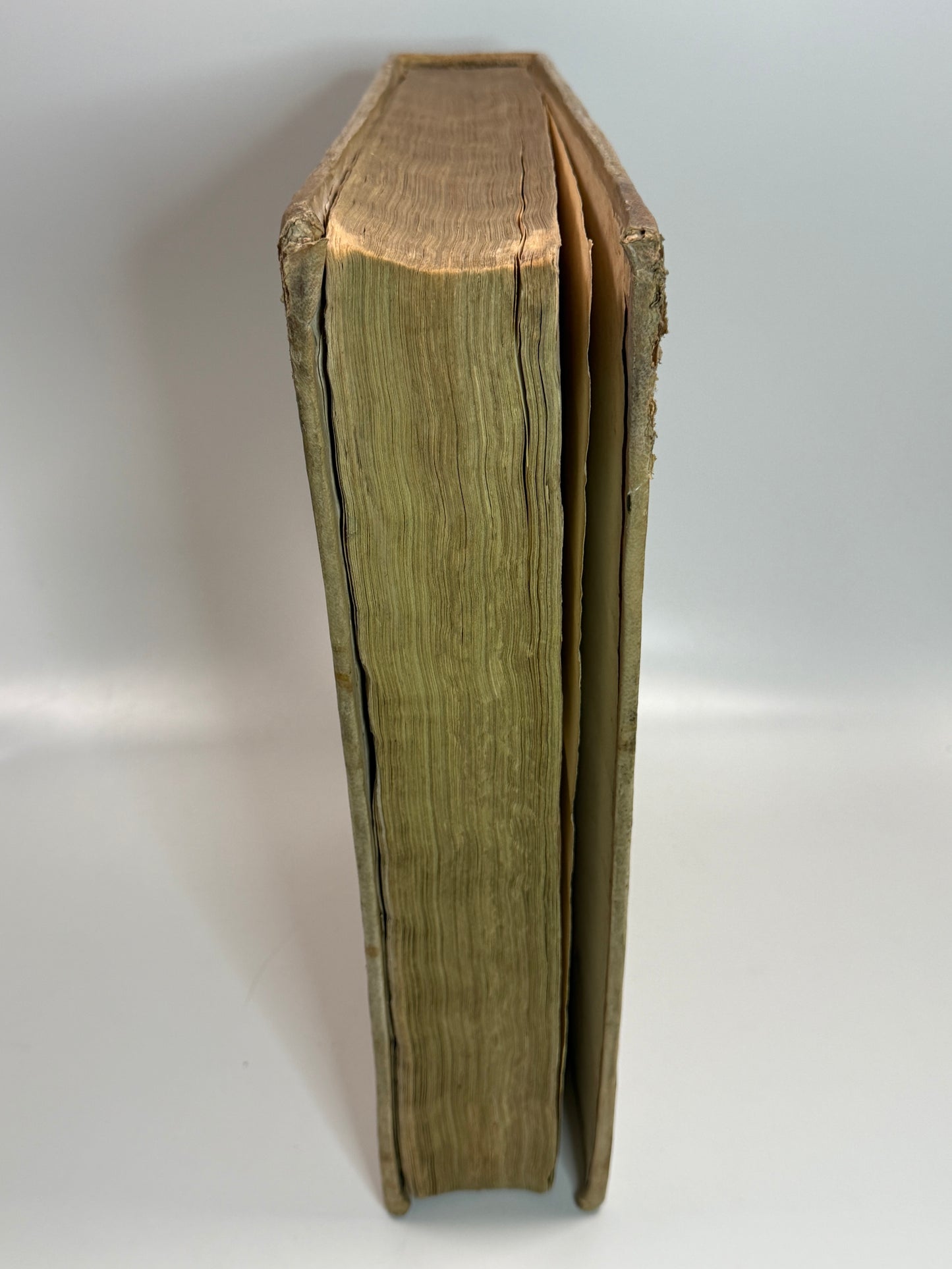 St. Thomas Aquinas' Commentary on the Pauline Epistles 1562