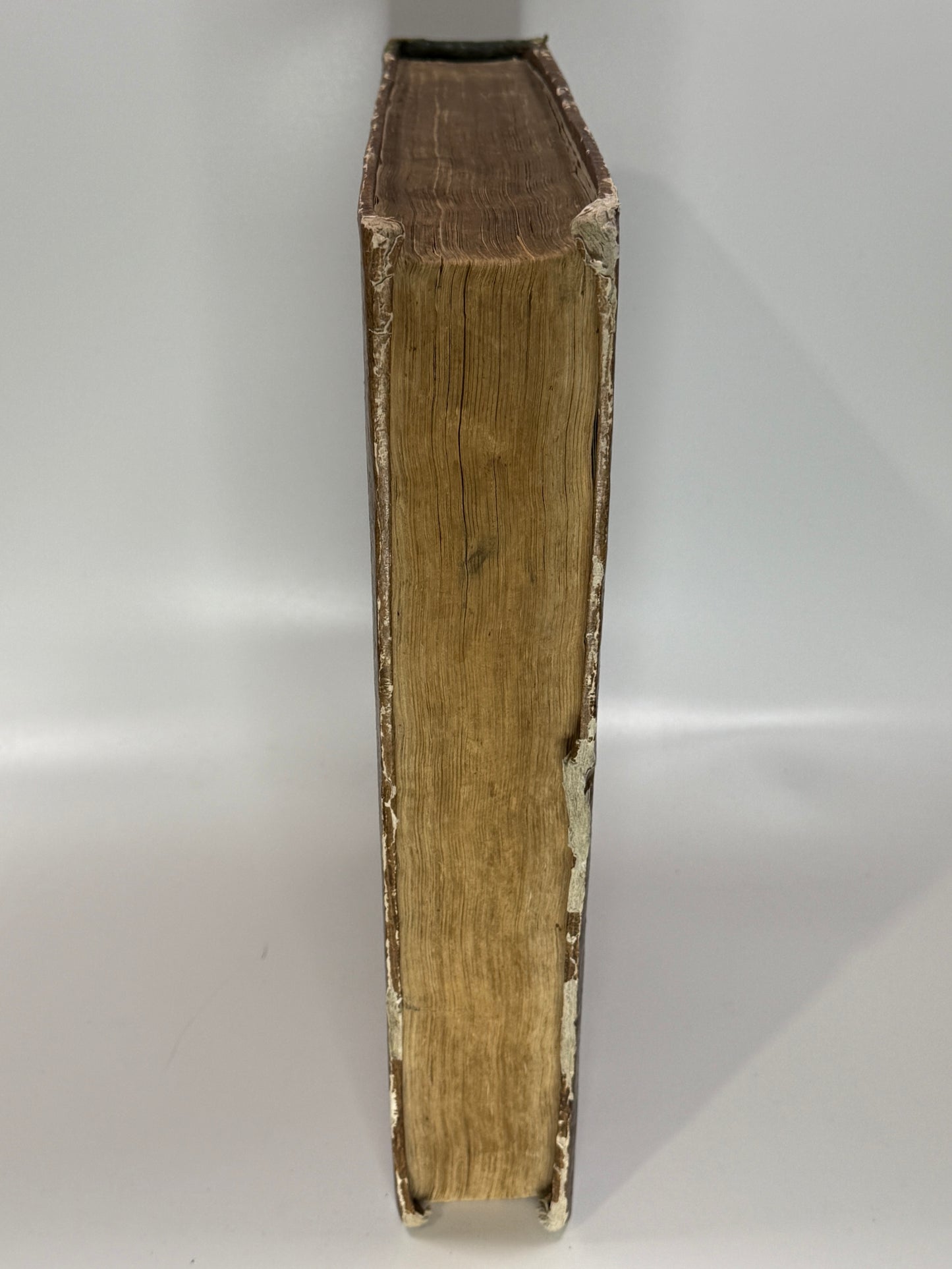 Novus Orbis Regionum 1532 First Edition Travel Collection: The Discovery of America