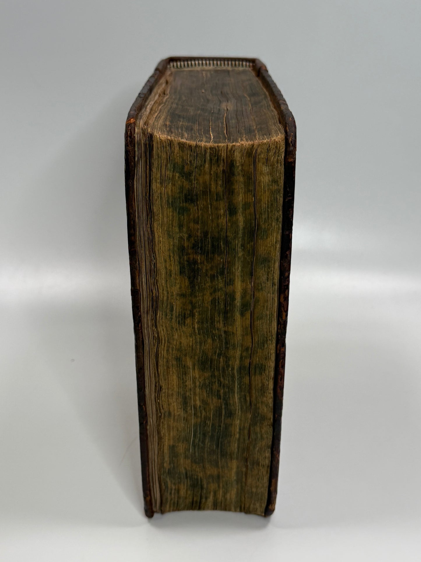 1577 Bishop's Bible "Treacle Bible"; Rare Quarto Edition