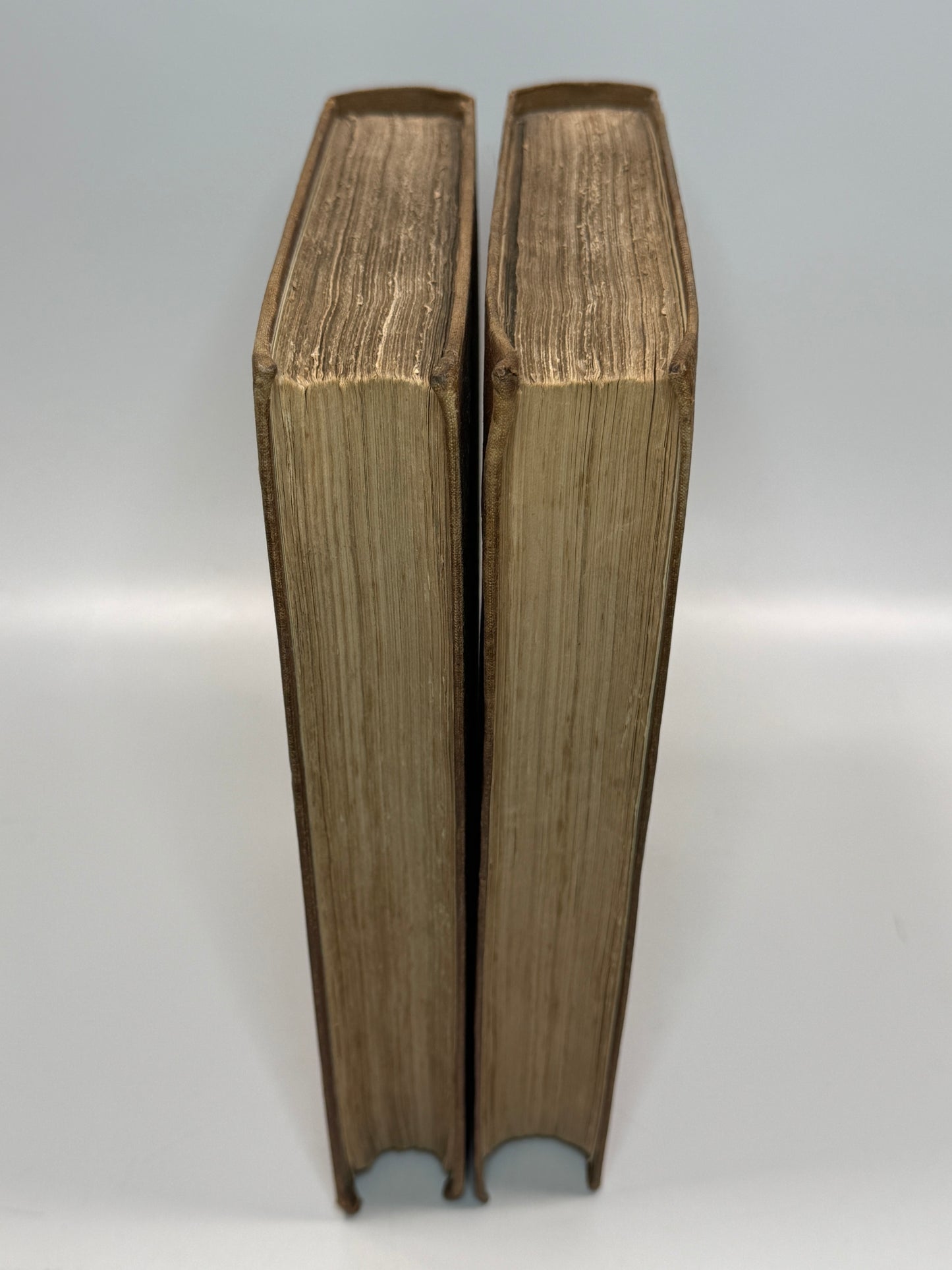A History of British Birds by Thomas Bewick 1832: Thomas Fowell Buxton's Copy