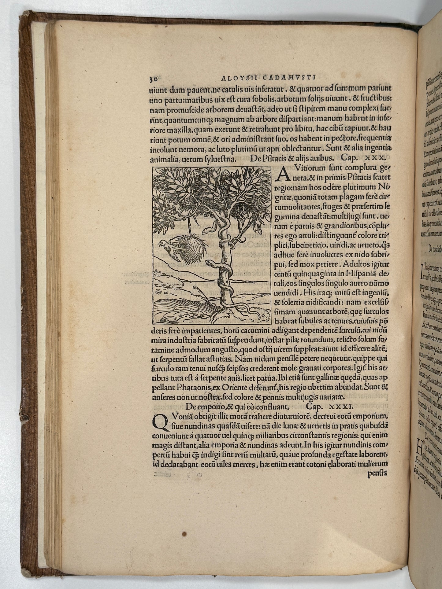 Novus Orbis Regionum 1532 First Edition Travel Collection: The Discovery of America
