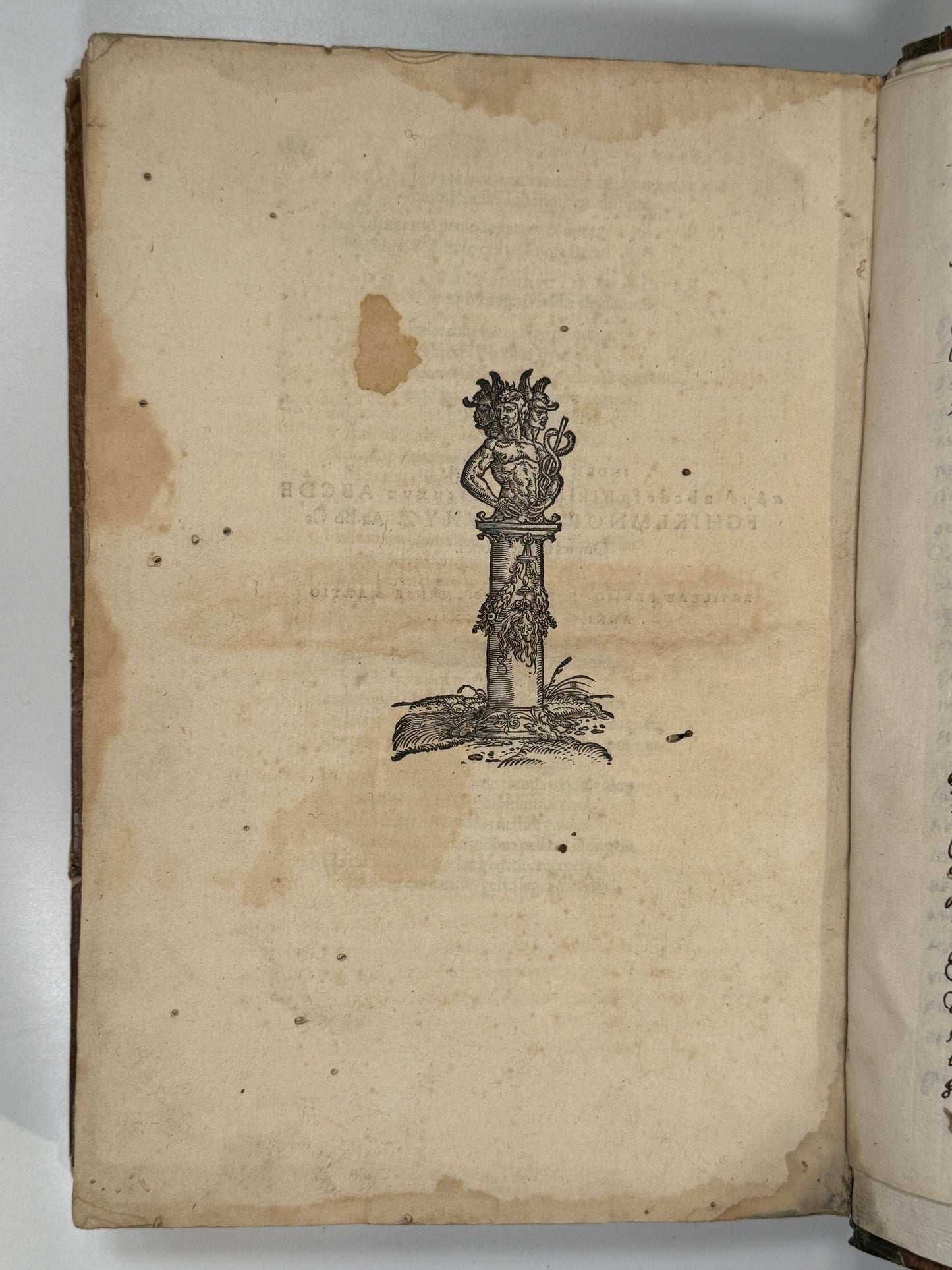 Novus Orbis Regionum 1532 First Edition Travel Collection: The Discovery of America