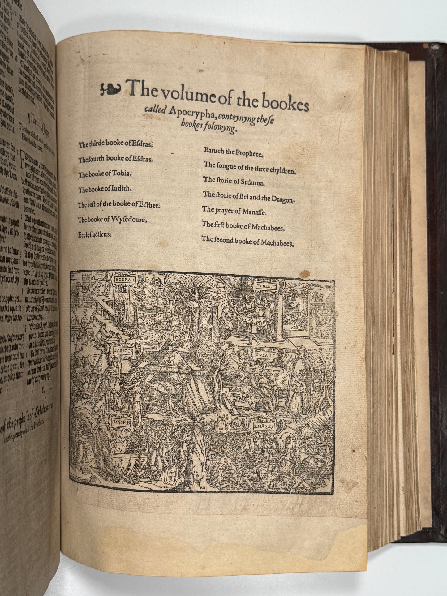 Bishop's Bible 1578 Pulpit Folio: Excellent Condition