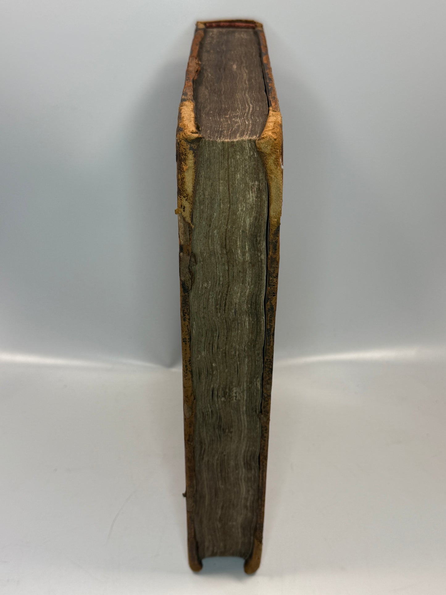 The Suffering of the Clergy of the Church of England 1714