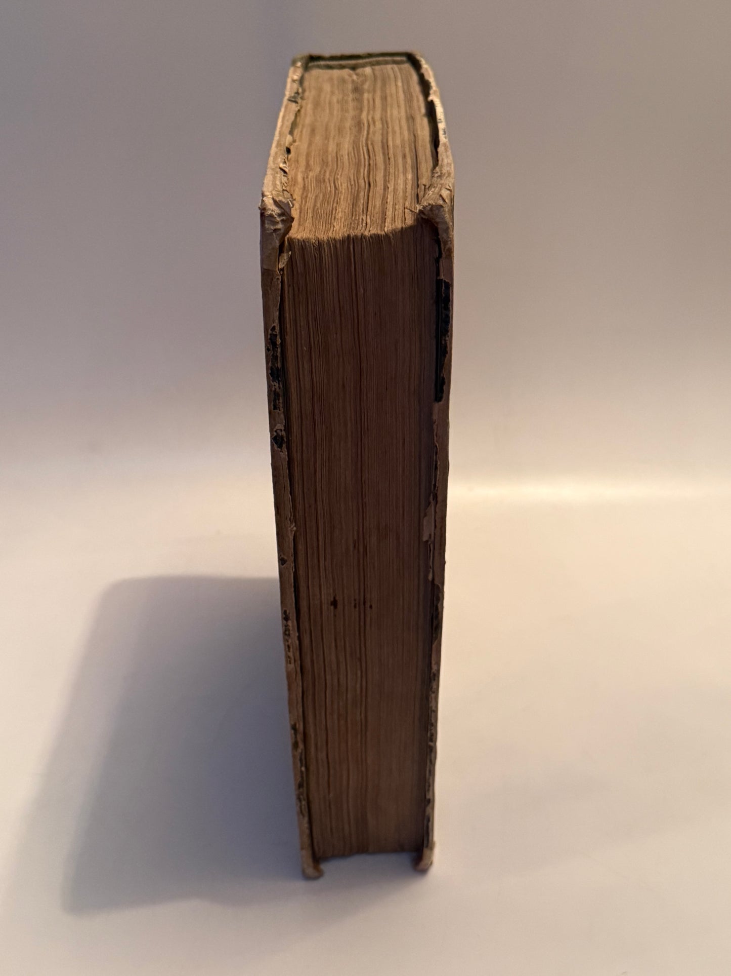 Foresti's Chronicle 1524