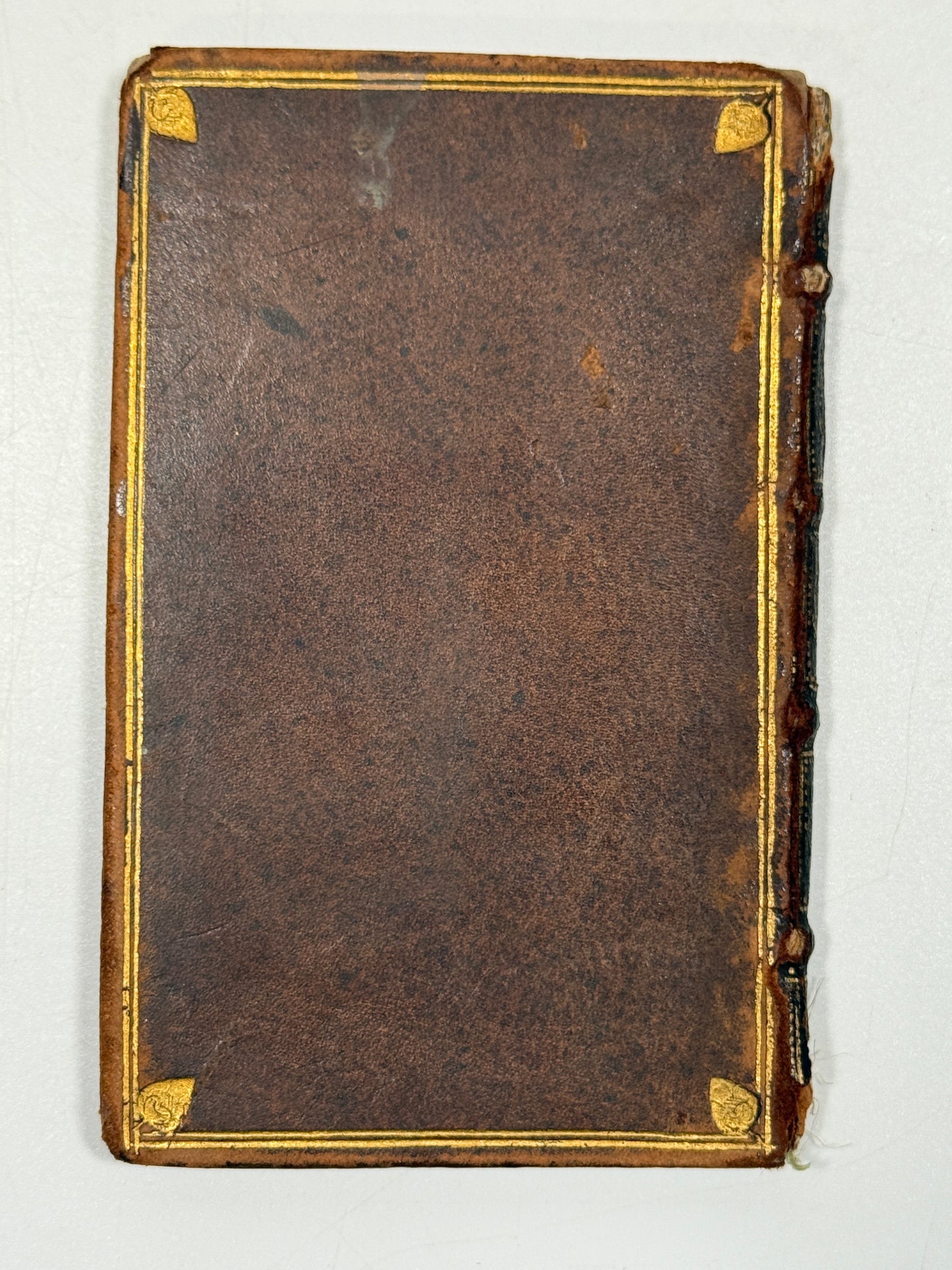 Picta Poesis 1564 Barthelemy Aneau