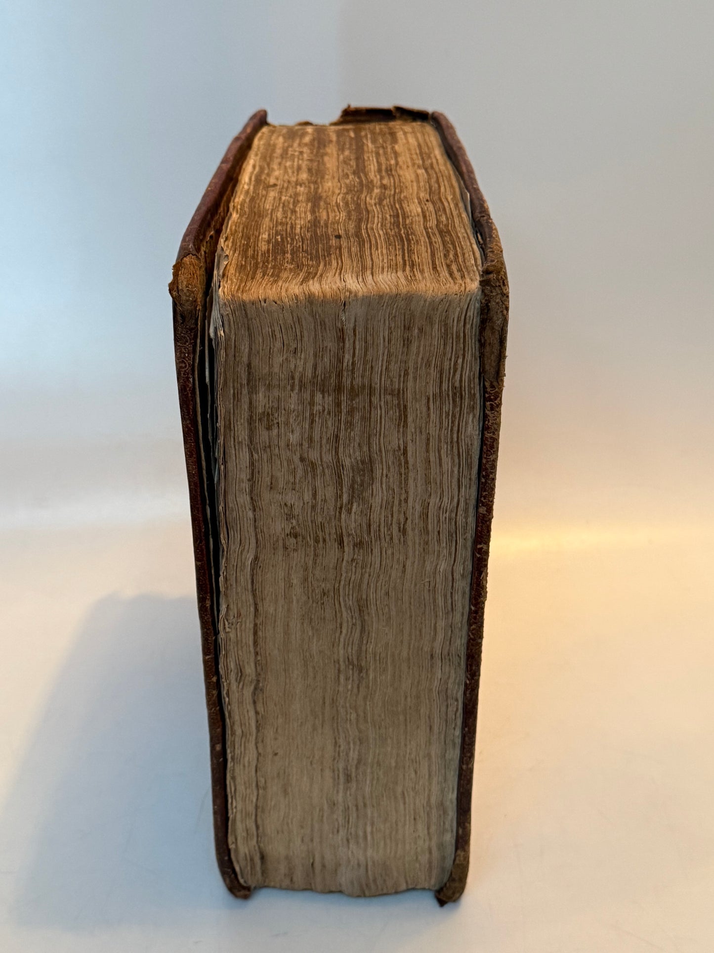 Antique King James Bible 1703 STUNNING FINE BINDING Antique Bible 1700s