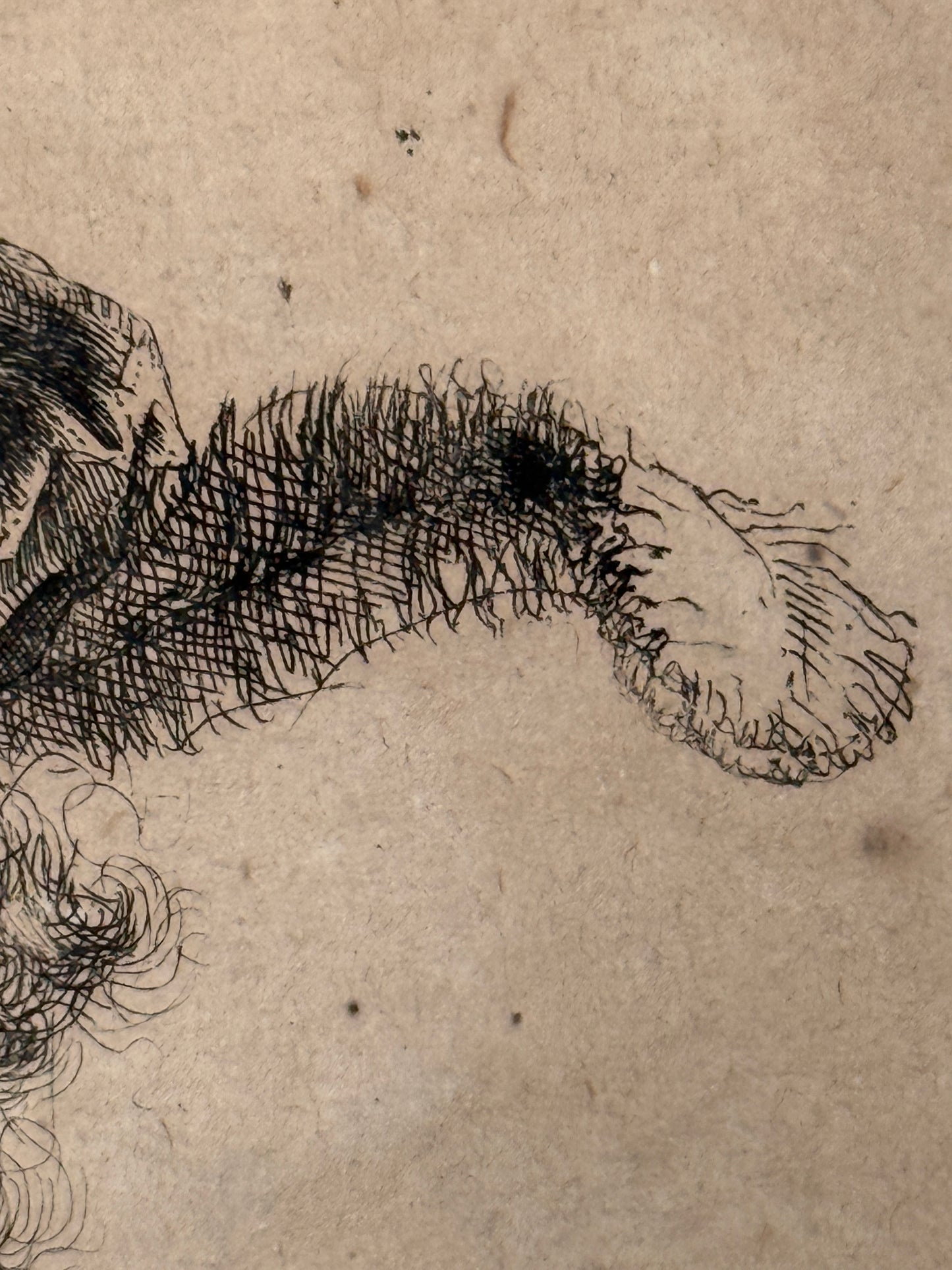 Self Portrait in a Velvet Cap with Plume c1638; REMBRANDT