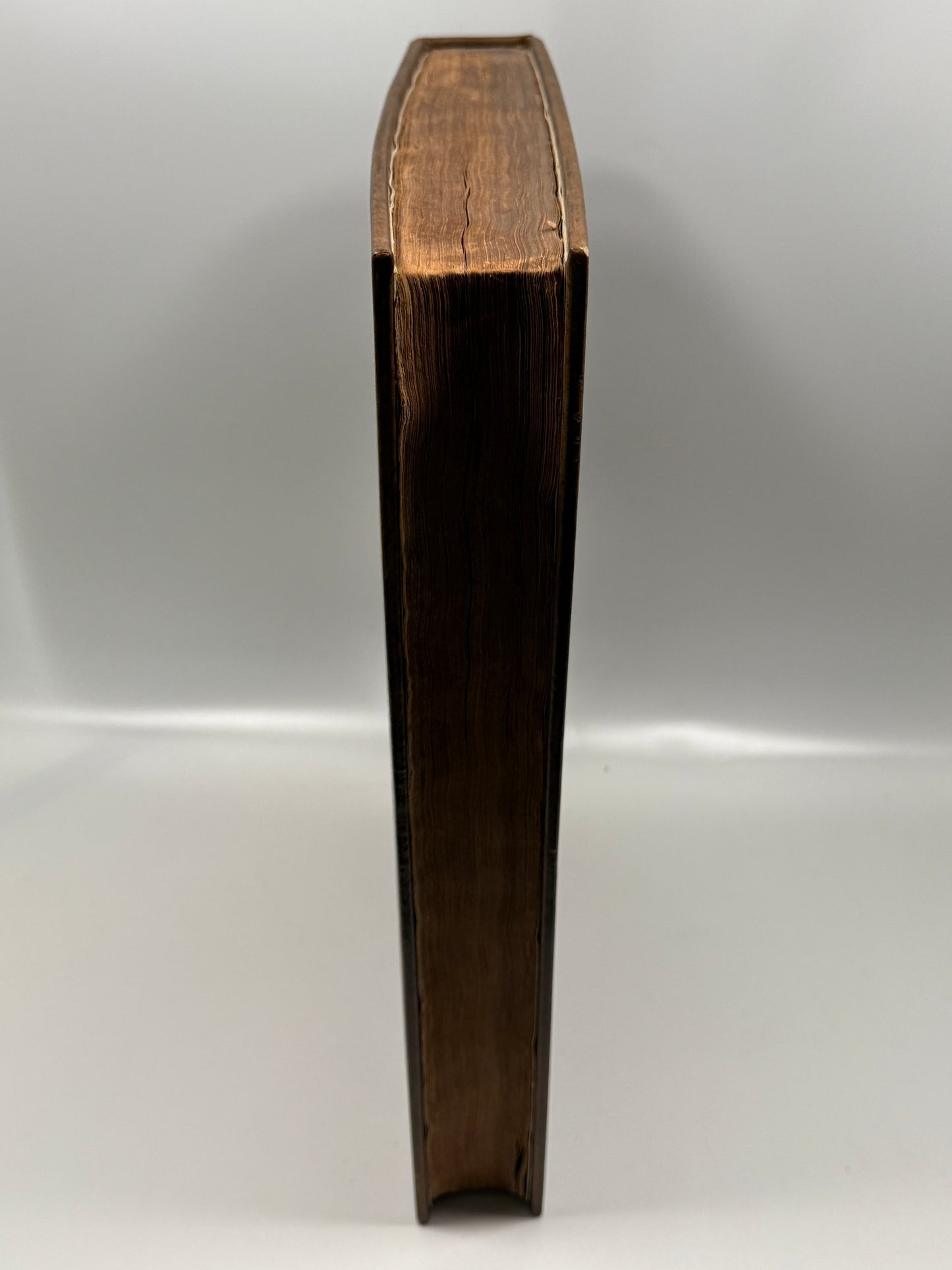 The Works of Geoffrey Chaucer 1721