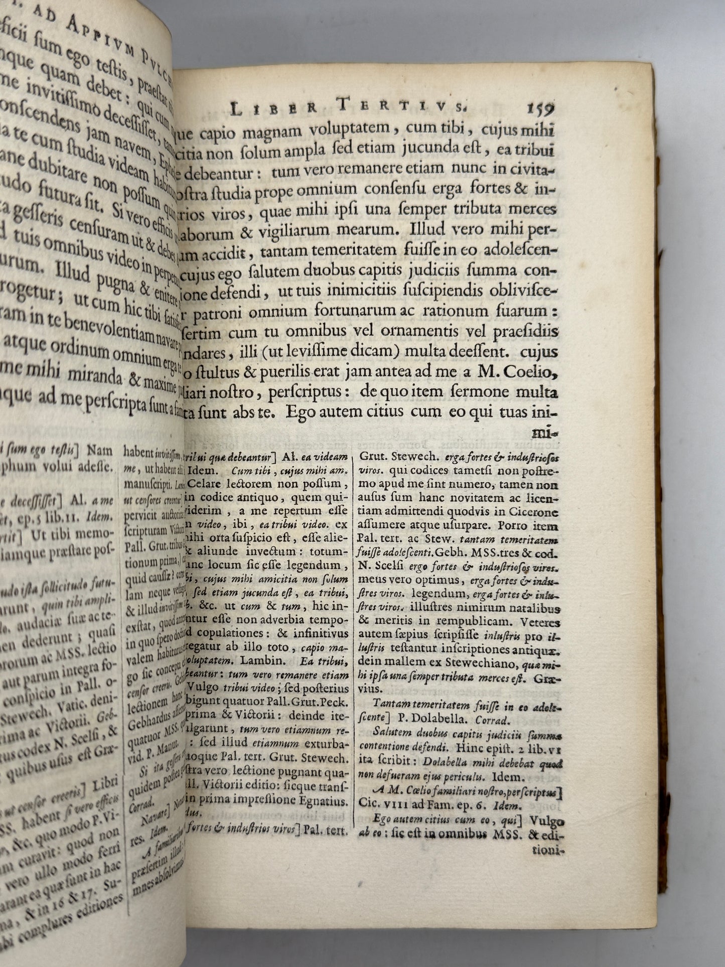 Cicero's Letters 1677 Elzevir Edition