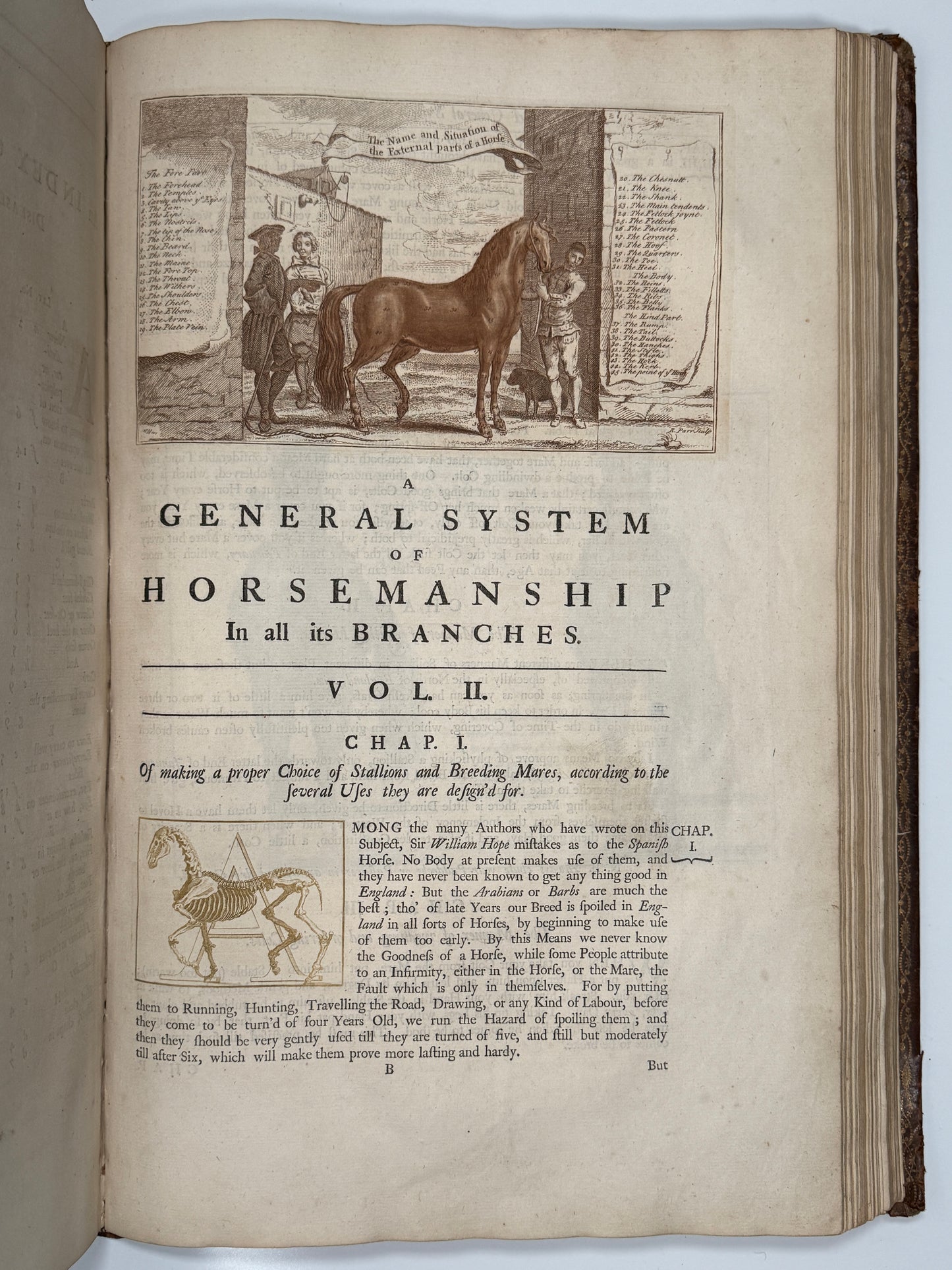 A General System of Horsemanship by William Cavendish 1743 First English Edition