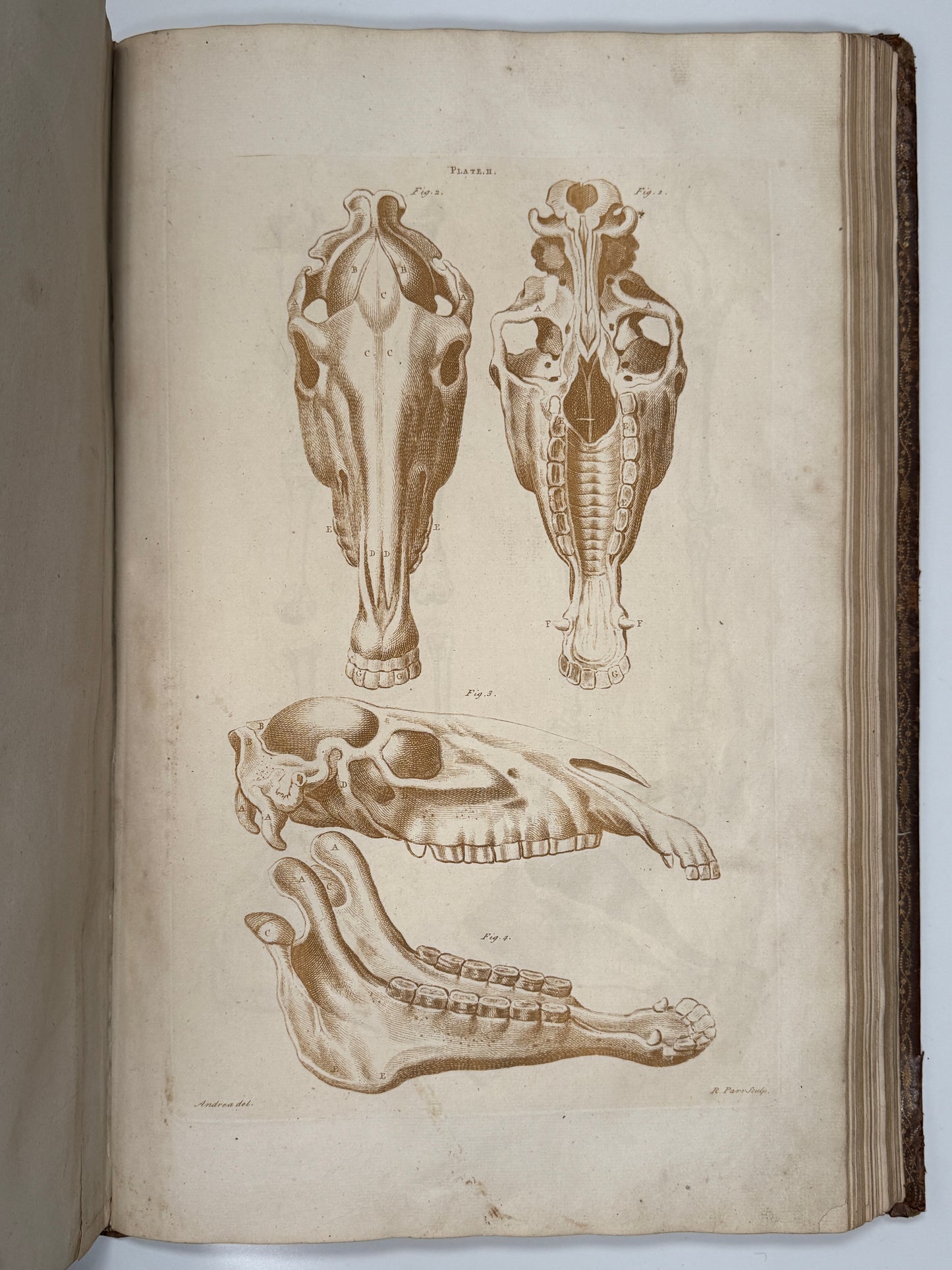 A General System of Horsemanship by William Cavendish 1743 First English Edition