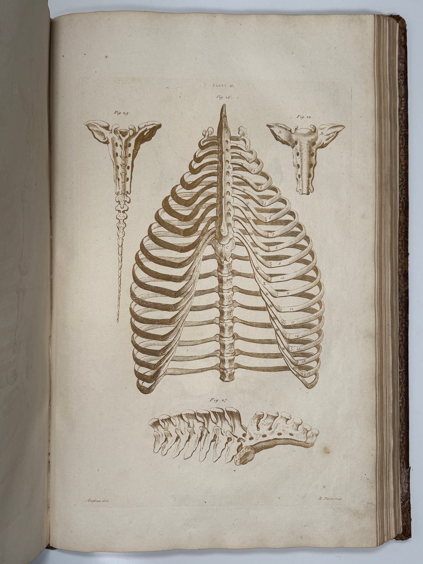 A General System of Horsemanship by William Cavendish 1743 First English Edition
