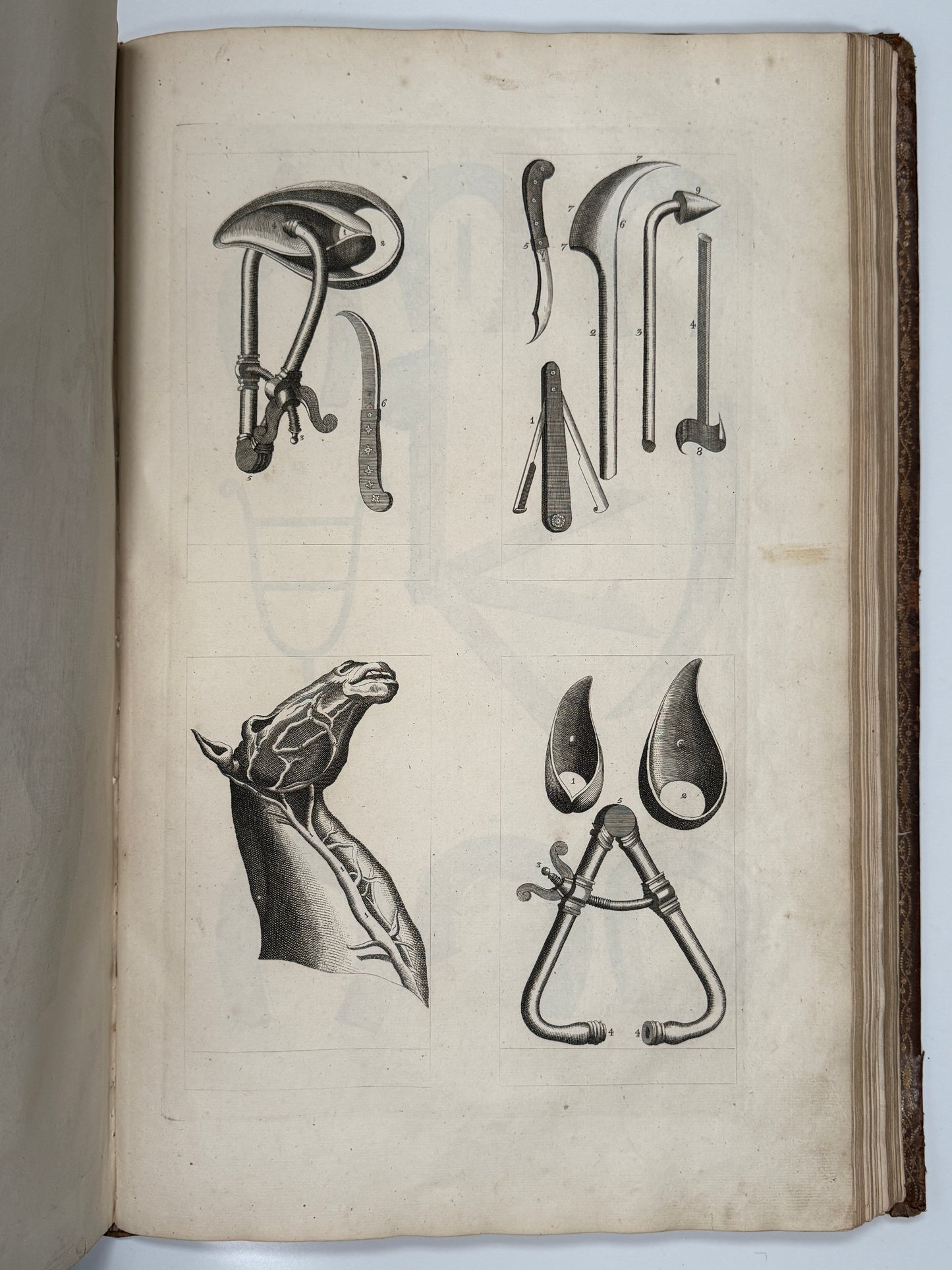 A General System of Horsemanship by William Cavendish 1743 First English Edition
