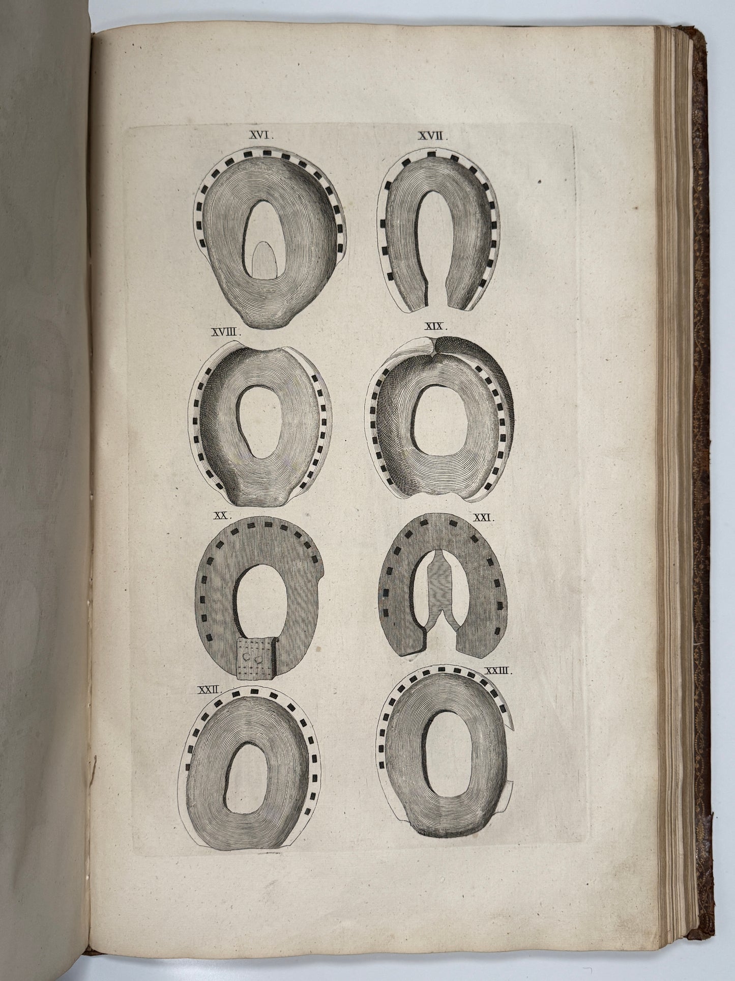 A General System of Horsemanship by William Cavendish 1743 First English Edition