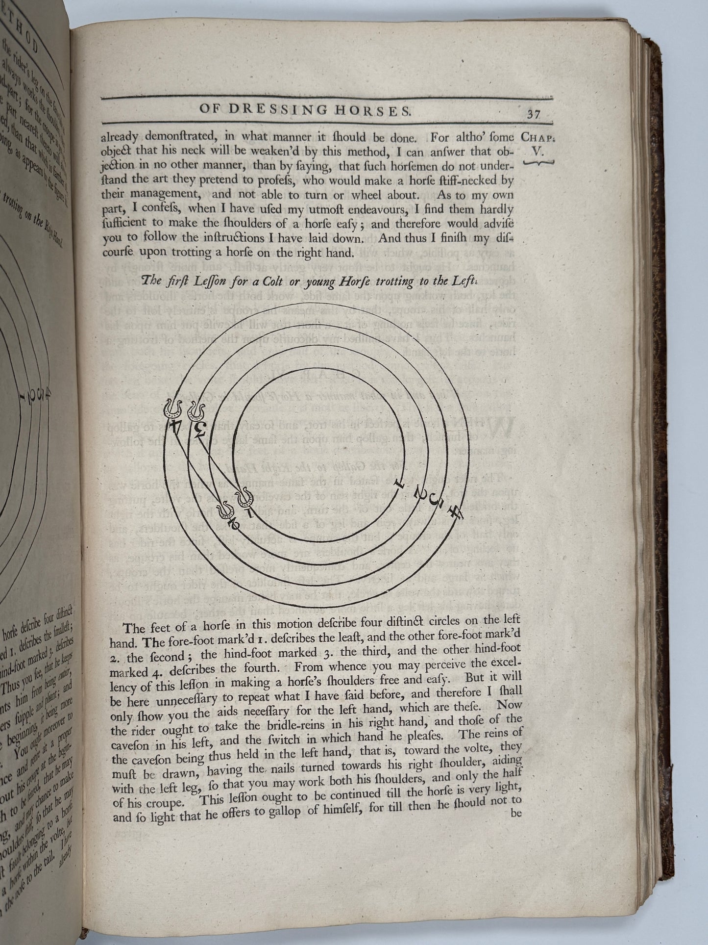 A General System of Horsemanship by William Cavendish 1743 First English Edition