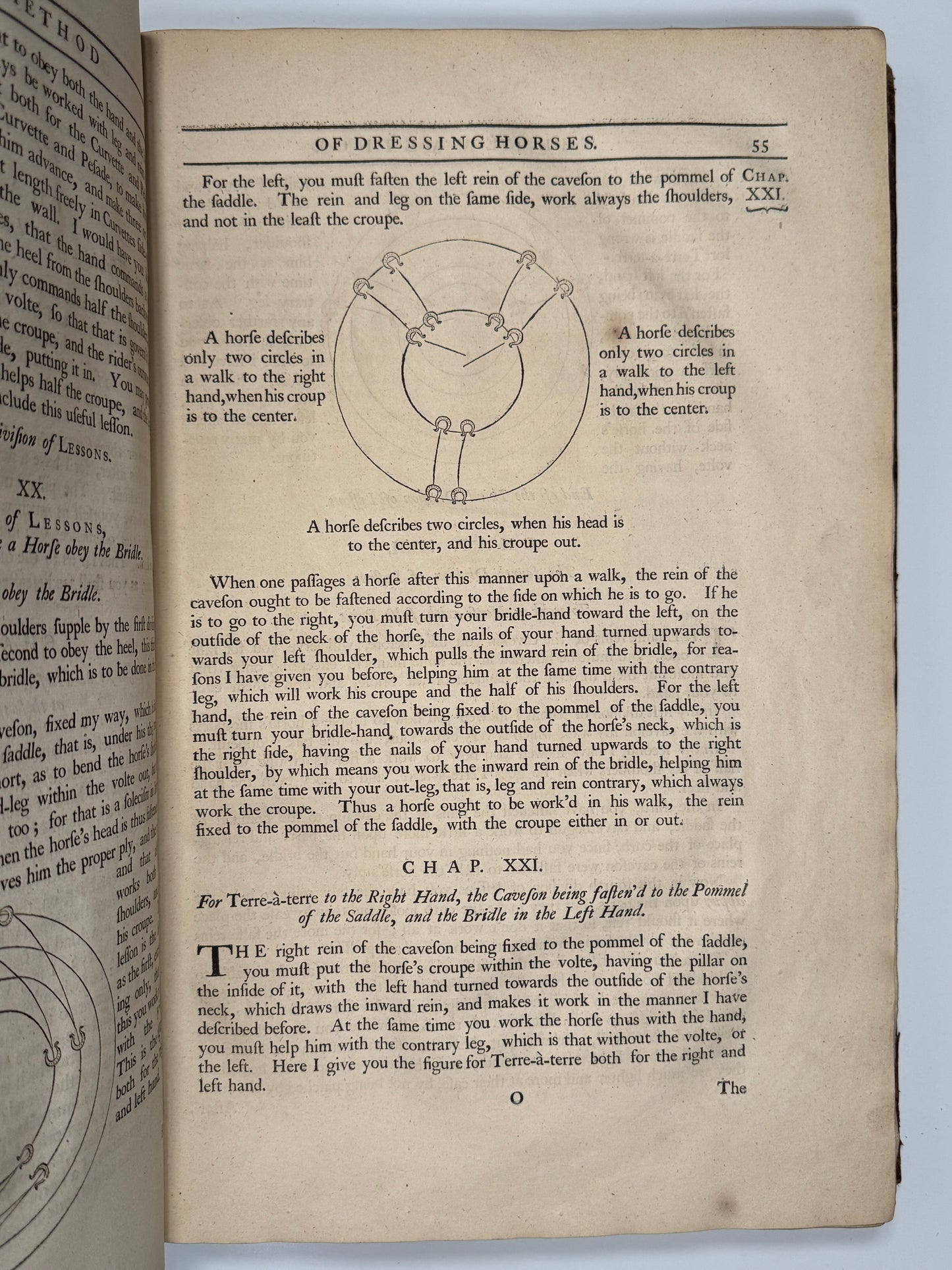 A General System of Horsemanship by William Cavendish 1743 First English Edition