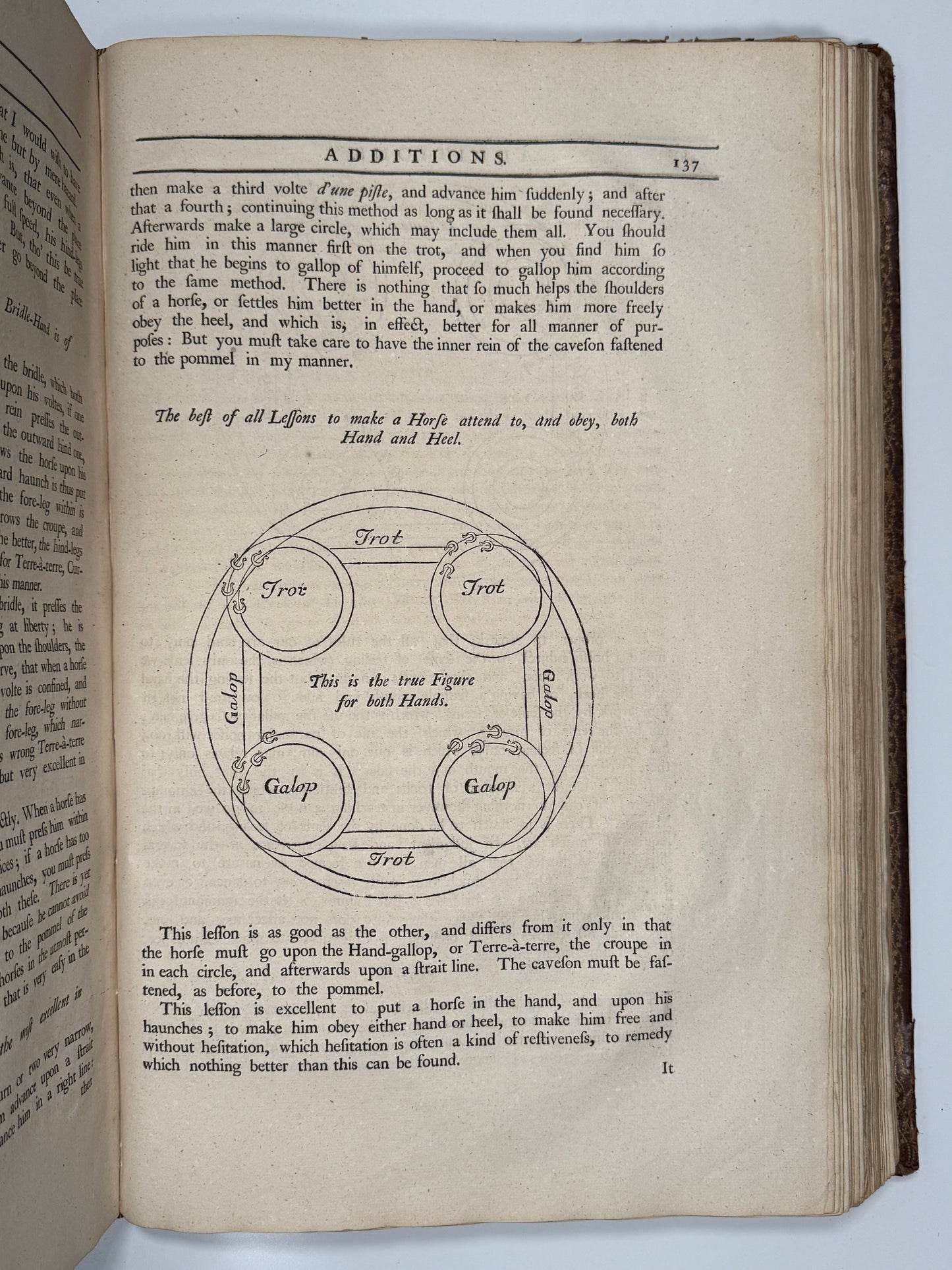 A General System of Horsemanship by William Cavendish 1743 First English Edition