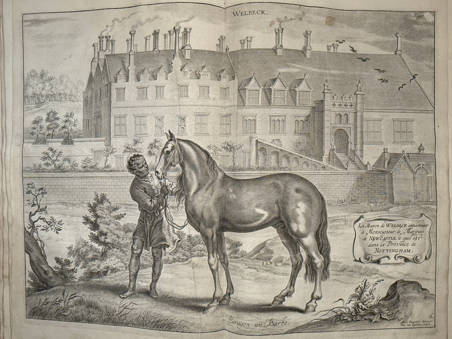 A General System of Horsemanship by William Cavendish 1743 First English Edition