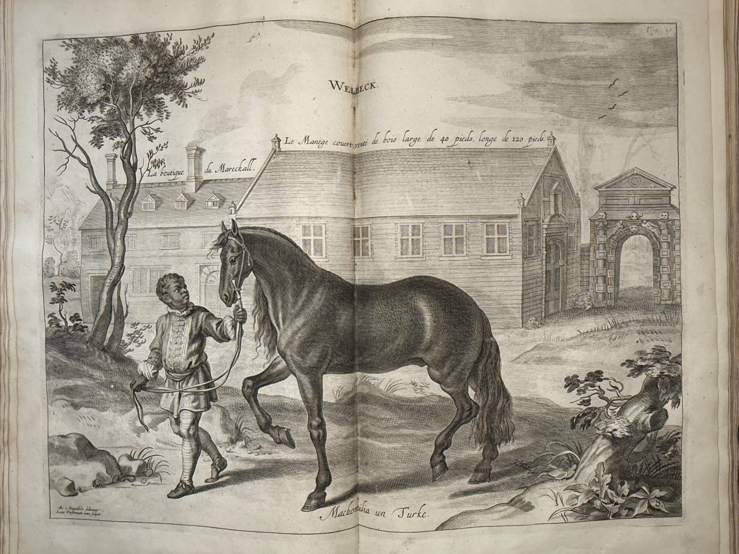 A General System of Horsemanship by William Cavendish 1743 First English Edition