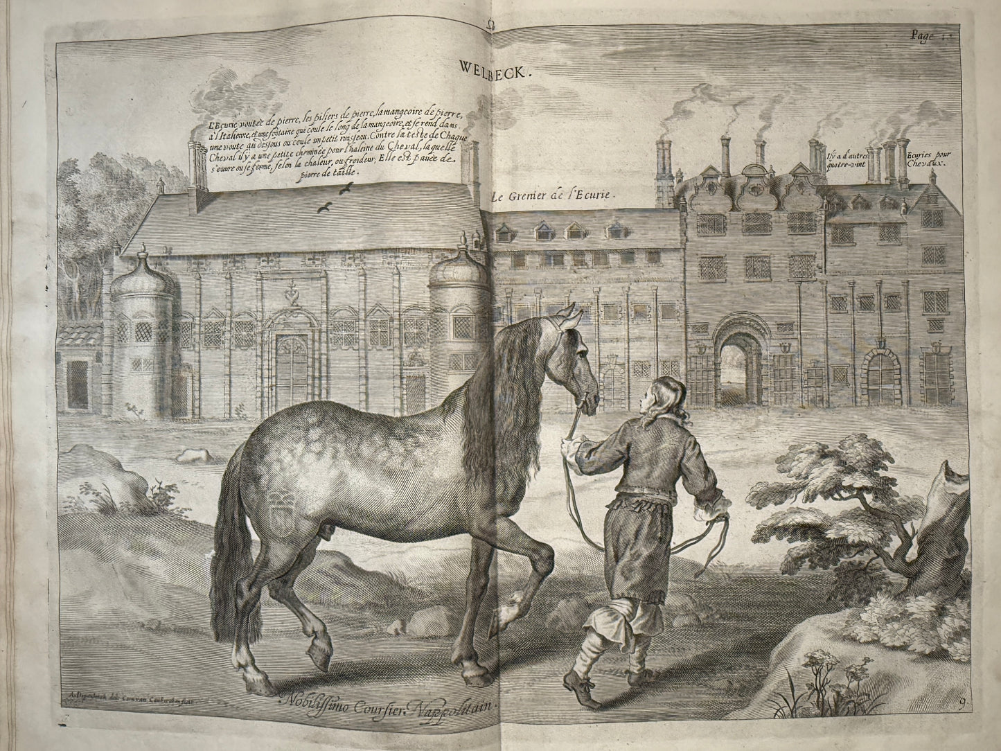 A General System of Horsemanship by William Cavendish 1743 First English Edition