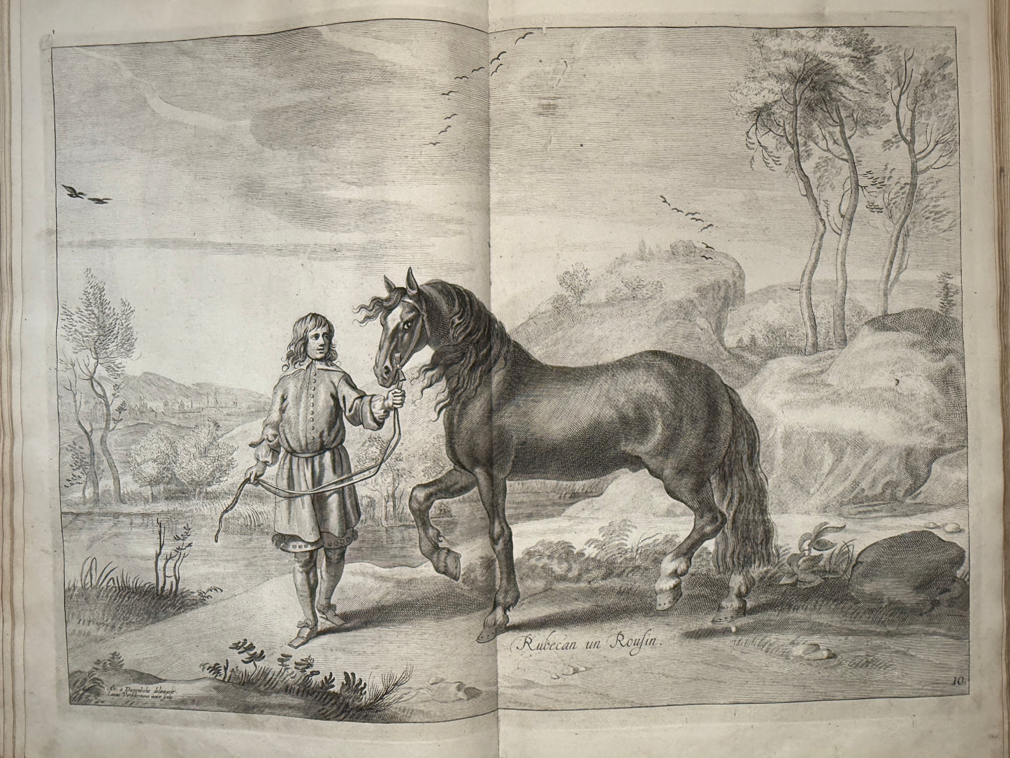 A General System of Horsemanship by William Cavendish 1743 First English Edition