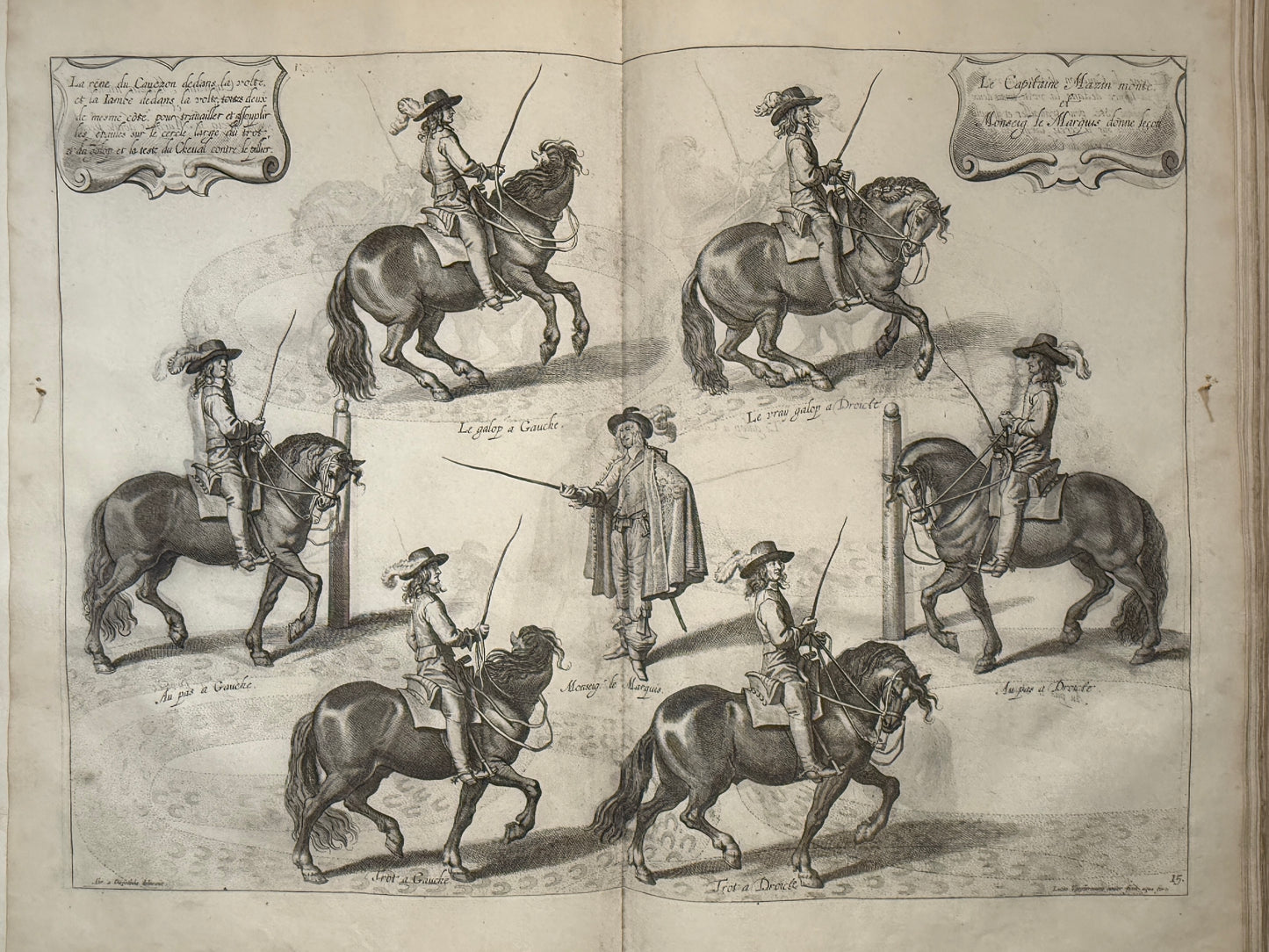 A General System of Horsemanship by William Cavendish 1743 First English Edition