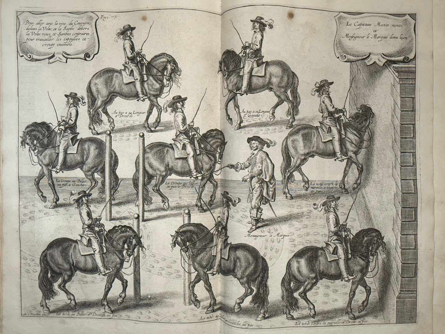 A General System of Horsemanship by William Cavendish 1743 First English Edition