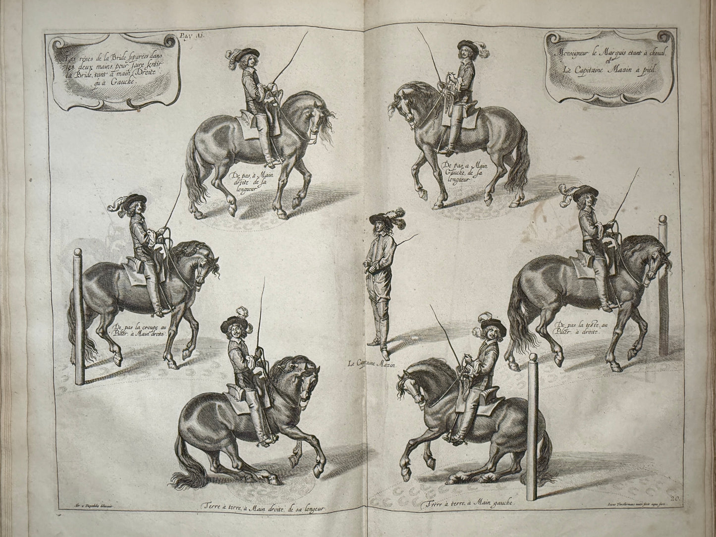 A General System of Horsemanship by William Cavendish 1743 First English Edition