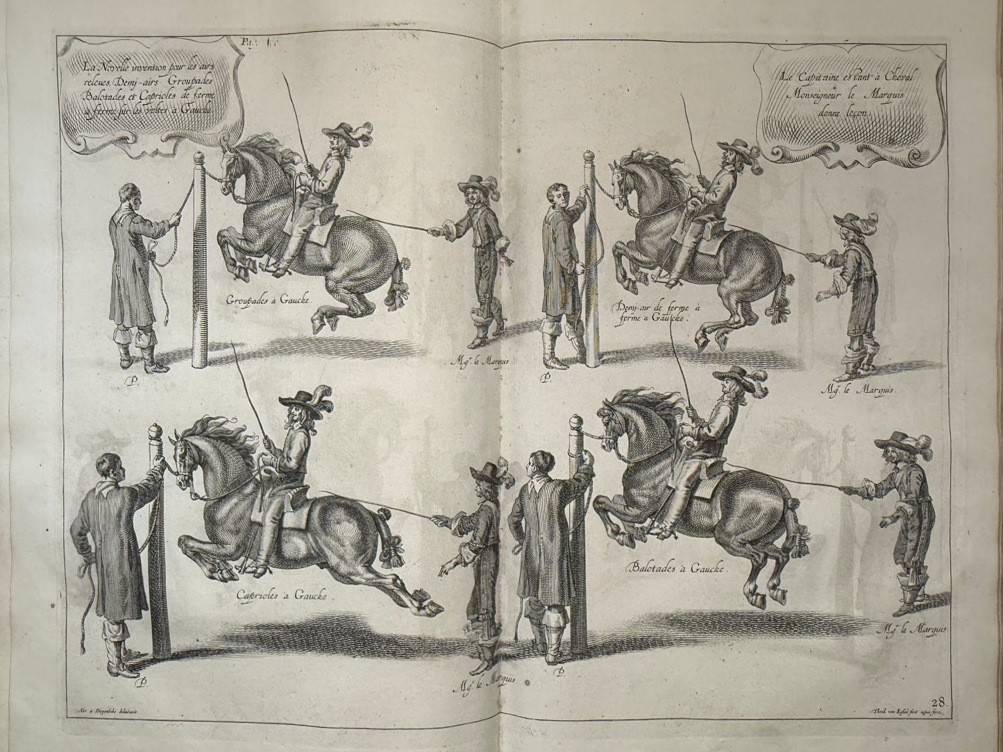 A General System of Horsemanship by William Cavendish 1743 First English Edition