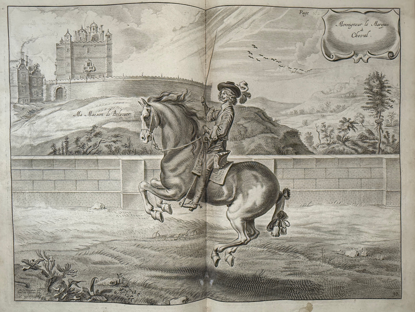A General System of Horsemanship by William Cavendish 1743 First English Edition