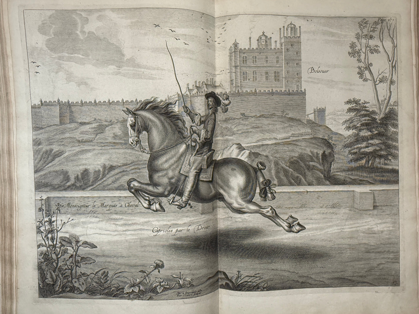A General System of Horsemanship by William Cavendish 1743 First English Edition
