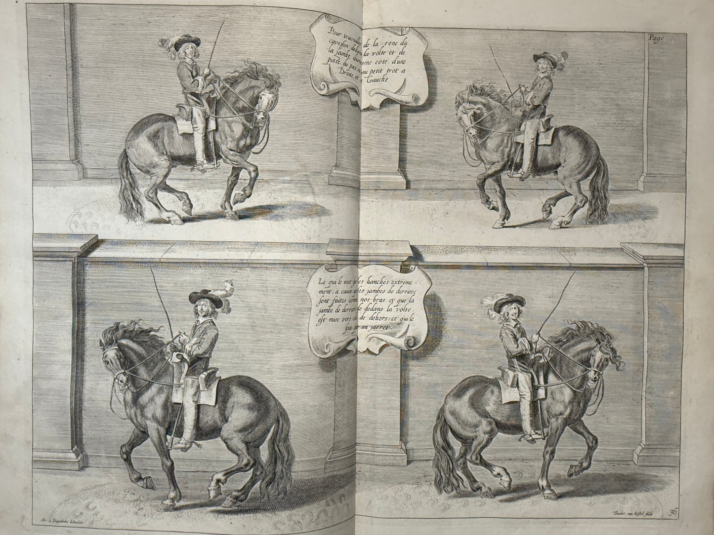 A General System of Horsemanship by William Cavendish 1743 First English Edition