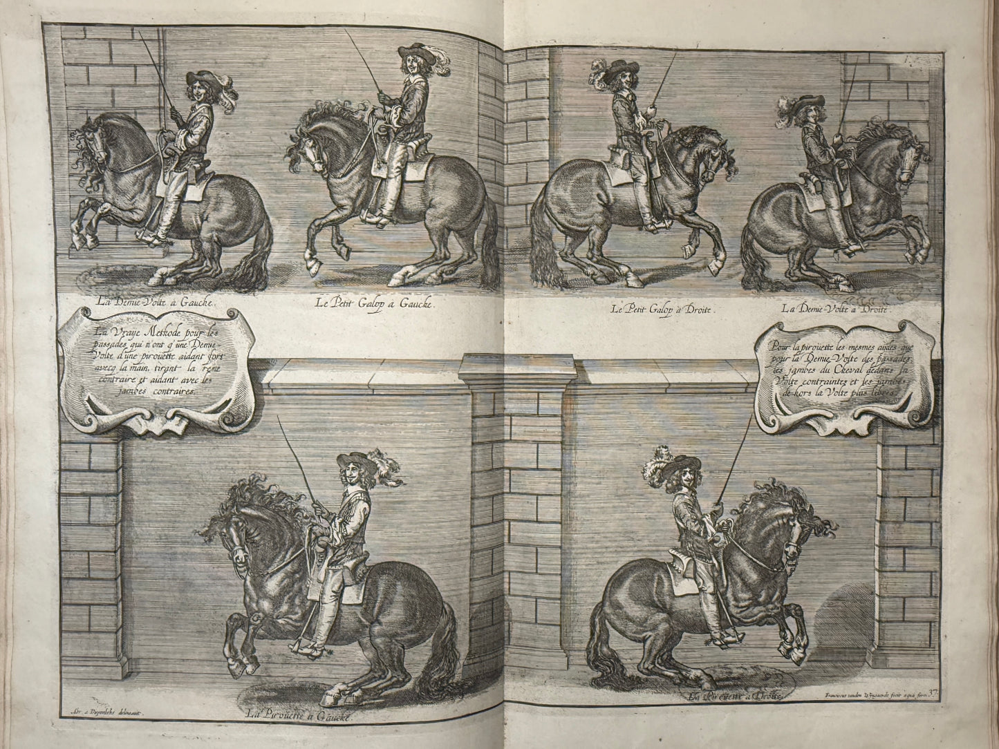 A General System of Horsemanship by William Cavendish 1743 First English Edition