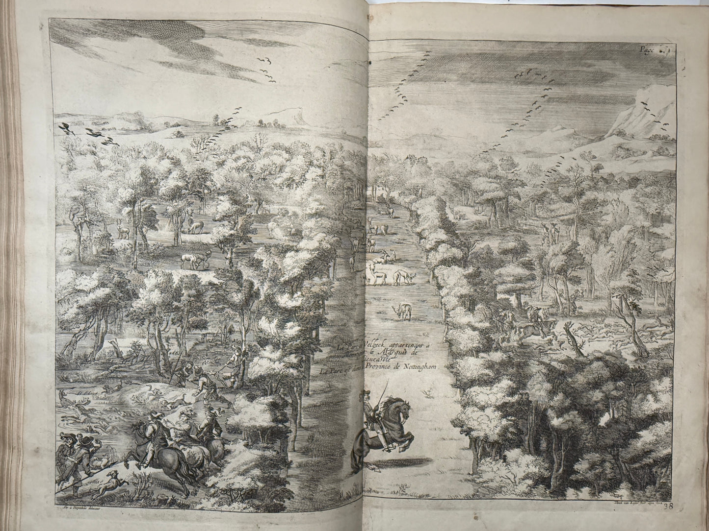 A General System of Horsemanship by William Cavendish 1743 First English Edition